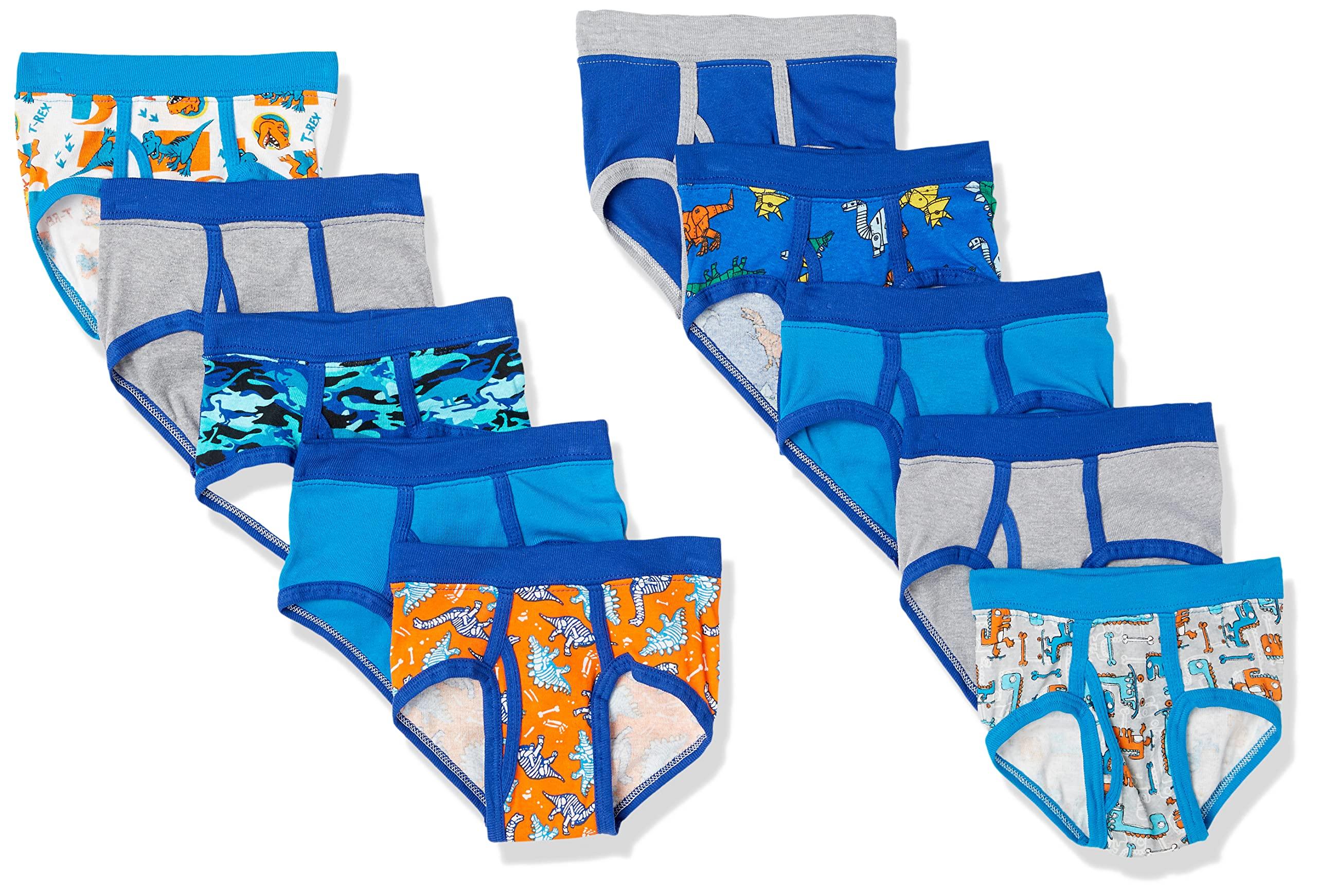 Hanes Toddler Boys' Briefs Pack, Dinosaur Printed Cotton Underwear, 10-Pack