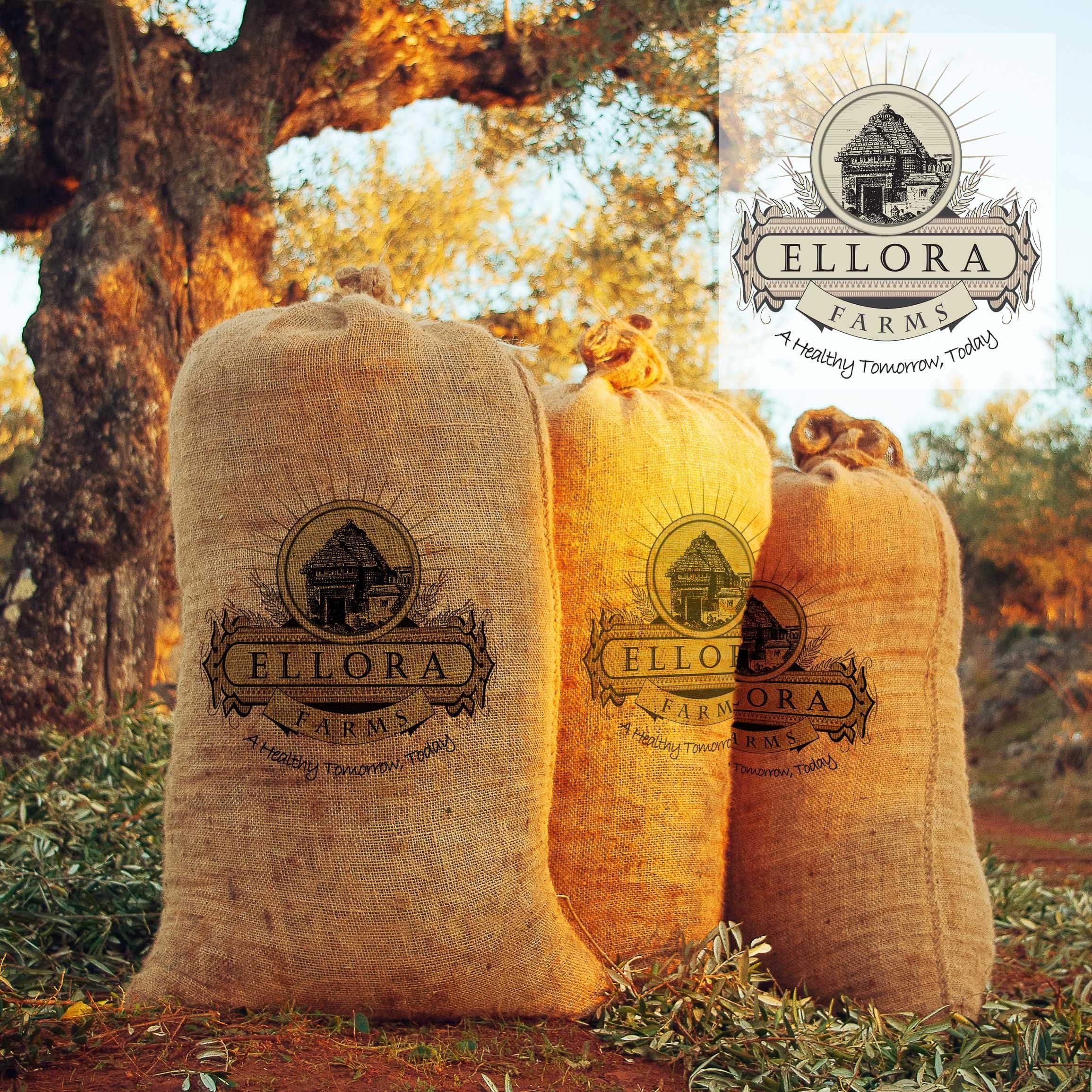 Ellora Farms Single Estate Traceable Extra Virgin Olive Oil 1 Liter PDO Tins | 2 Pack - Image 8