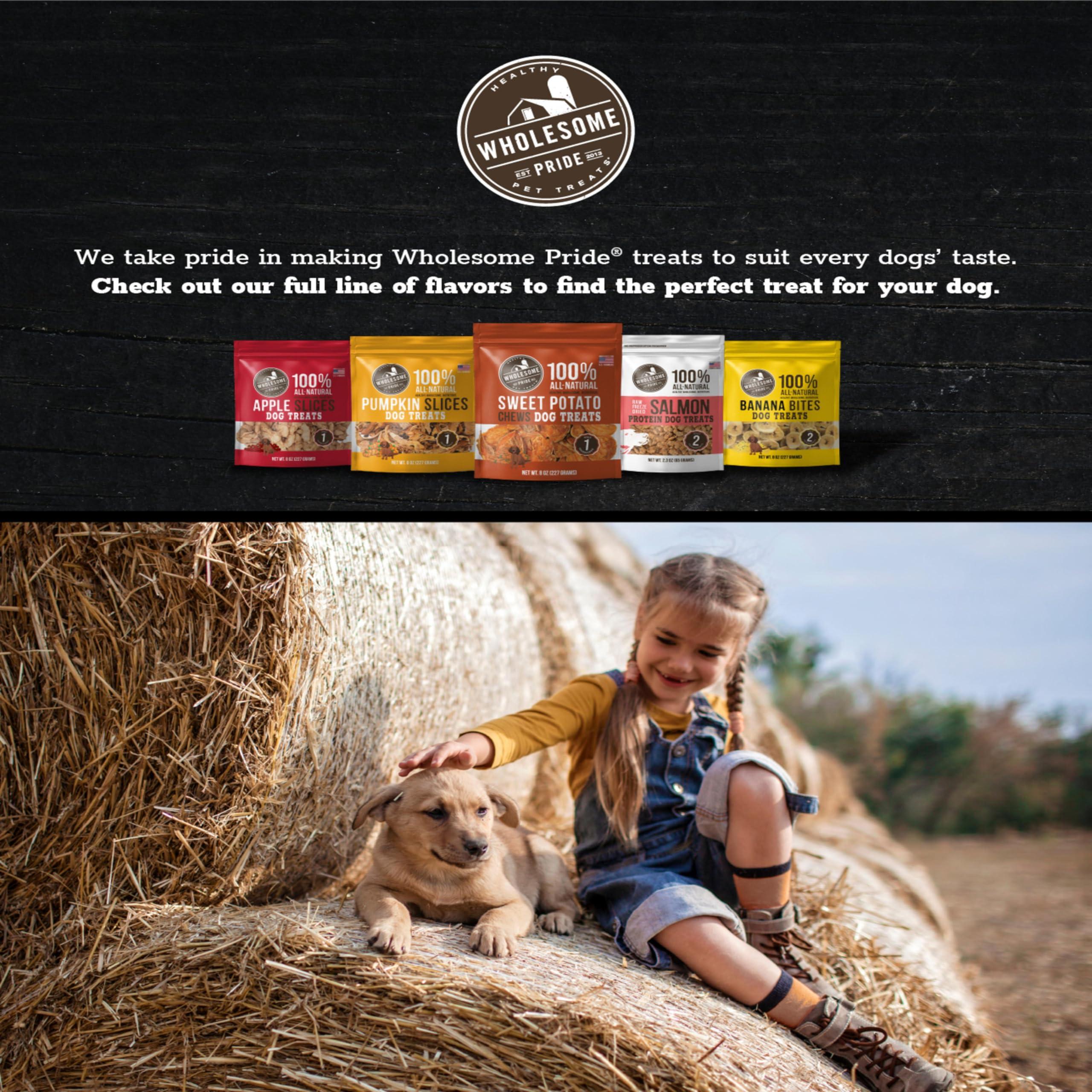 Wholesome Pride Banana Bites Dog Treats, 2 Ingredients – Bananas & Coconut Oil, Grain-Free, 16oz - Image 7