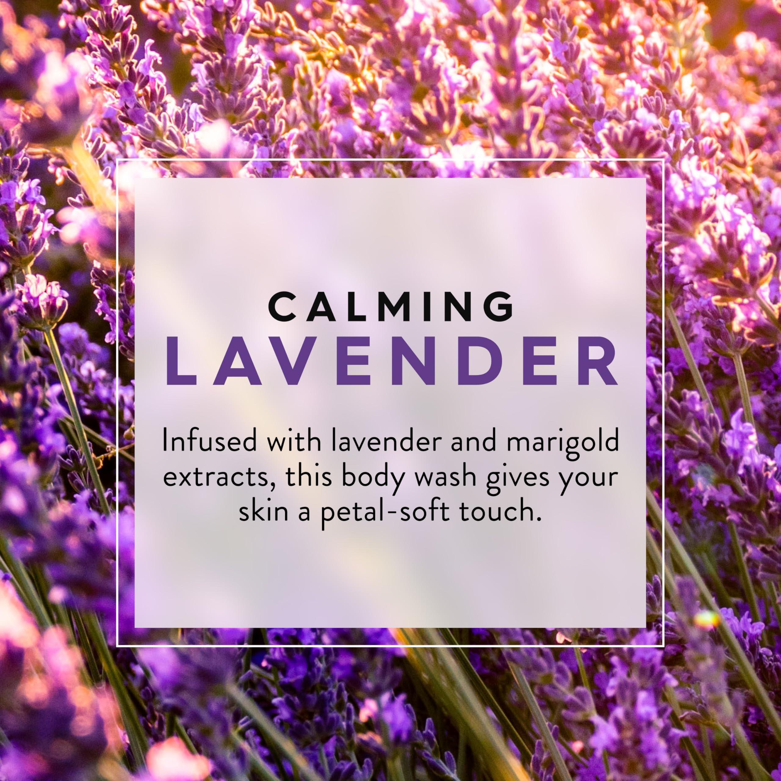 JASON Lavender Calming Body Wash, For a Gentle Feeling Clean, 30 Fluid Ounces - Image 3