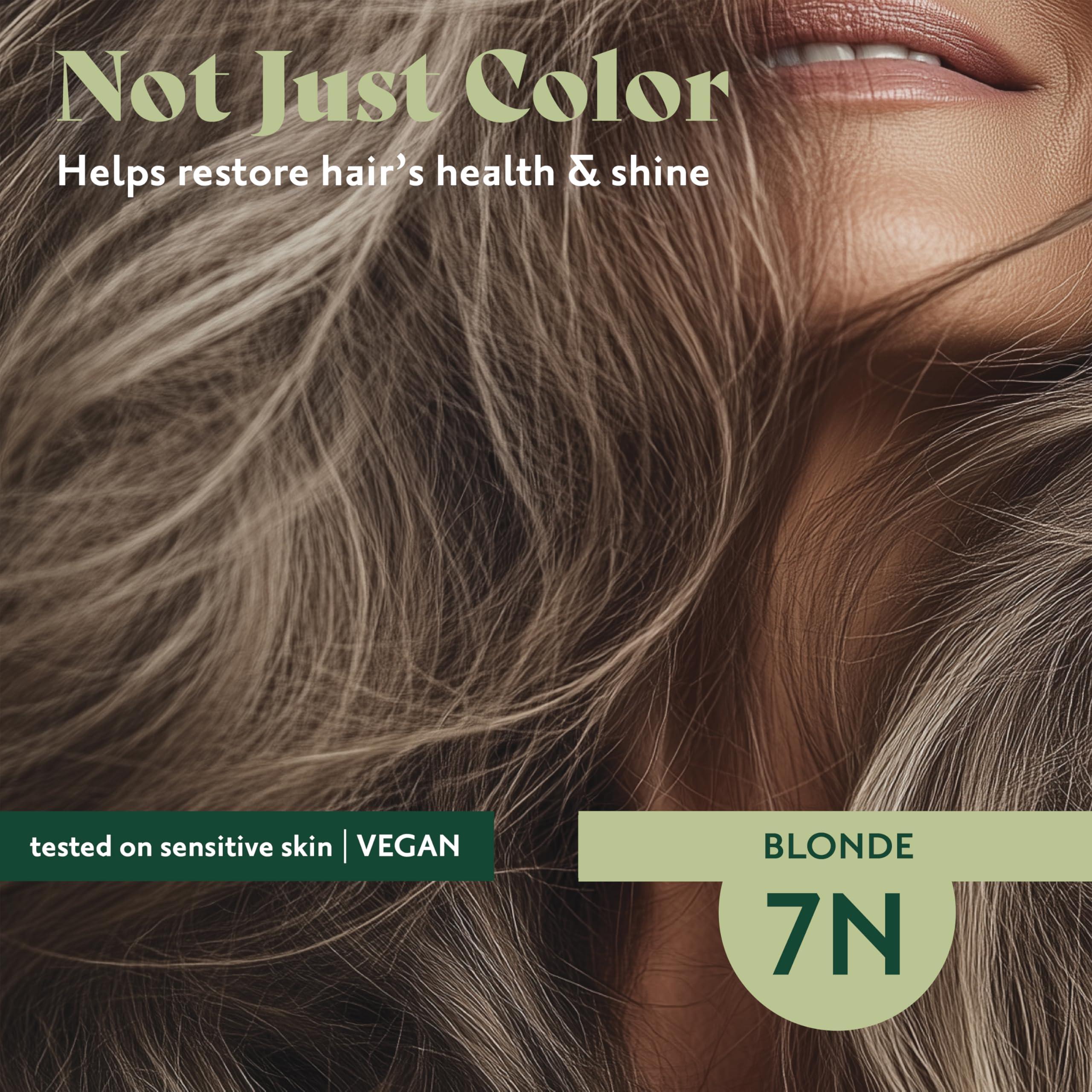 Herbatint Permanent Hair Dye For Women - 7N Blonde - For Up To 100% Gray Coverage of Resistant Gray Hair - Ammonia-Free, Alcohol-Free & Vegan - Salon Influenced Hair Color 5.75 fl oz - Image 4