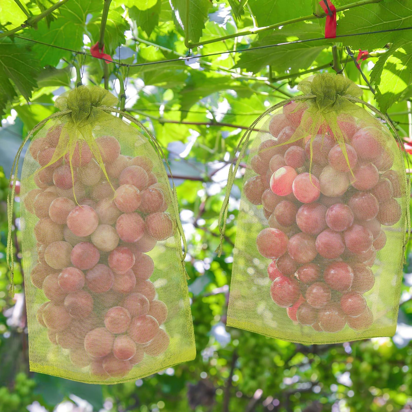 DECYOOL 120 PCS Fruit Protection Bags 4 X 6 inch, Green Fruit Bags for Fruit Trees Fruit Netting Cover Drawstring Mesh Bags Suit for Mangoes Tomatoes Fruit Trees Veggies Garden - Image 2