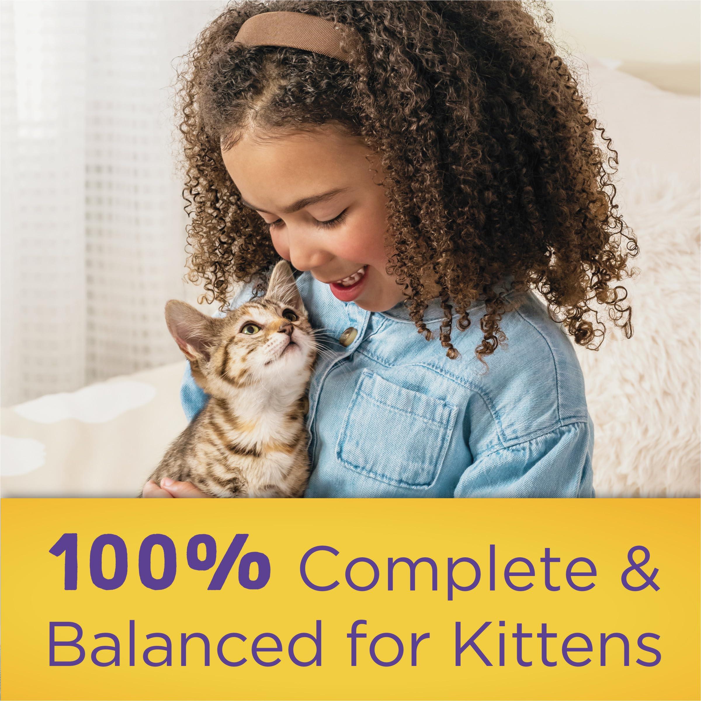 Purina Kitten Chow 14lb - Image 9