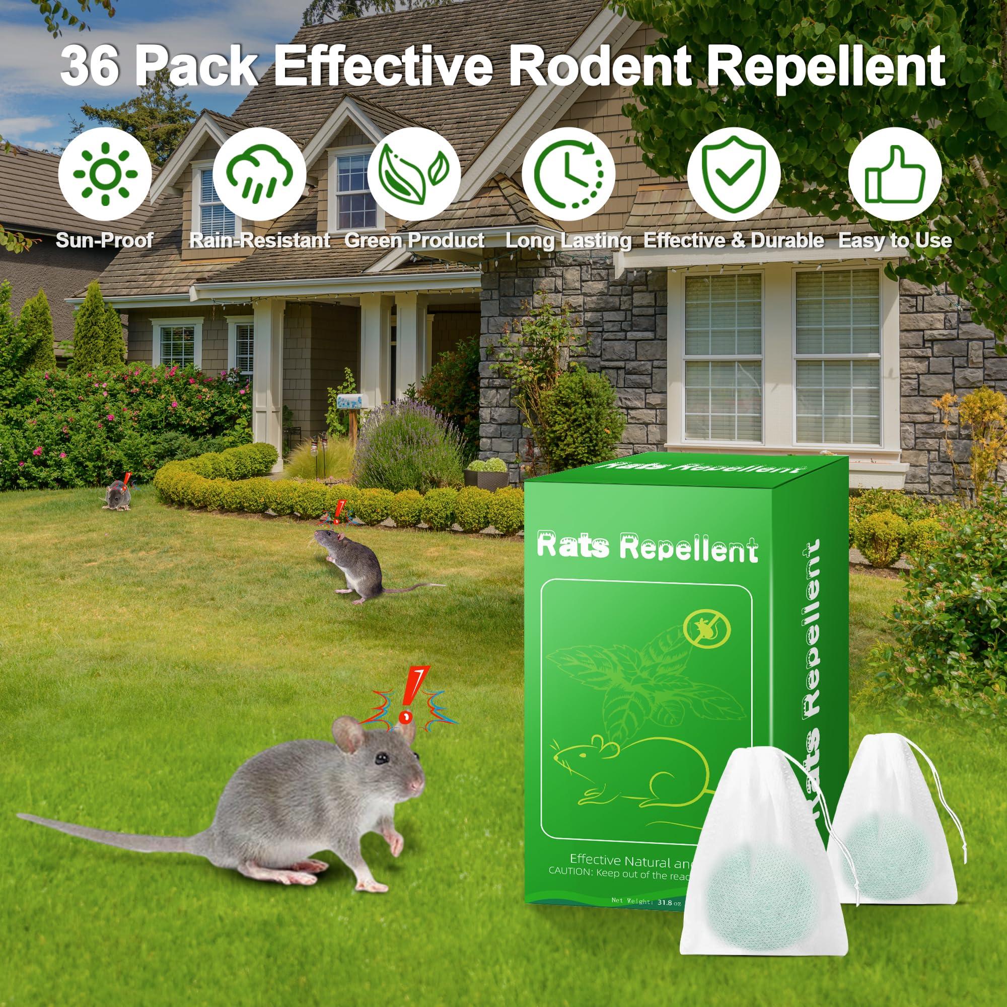 36 Pack Mice Repellent - Peppermint Oil Rat Repellent Ball for House Garage Garden Car Engine Indoor, Mouse Deterrent for Outdoor, Keep Mice Out Natural Pest Repellent Pet Safe - Image 7
