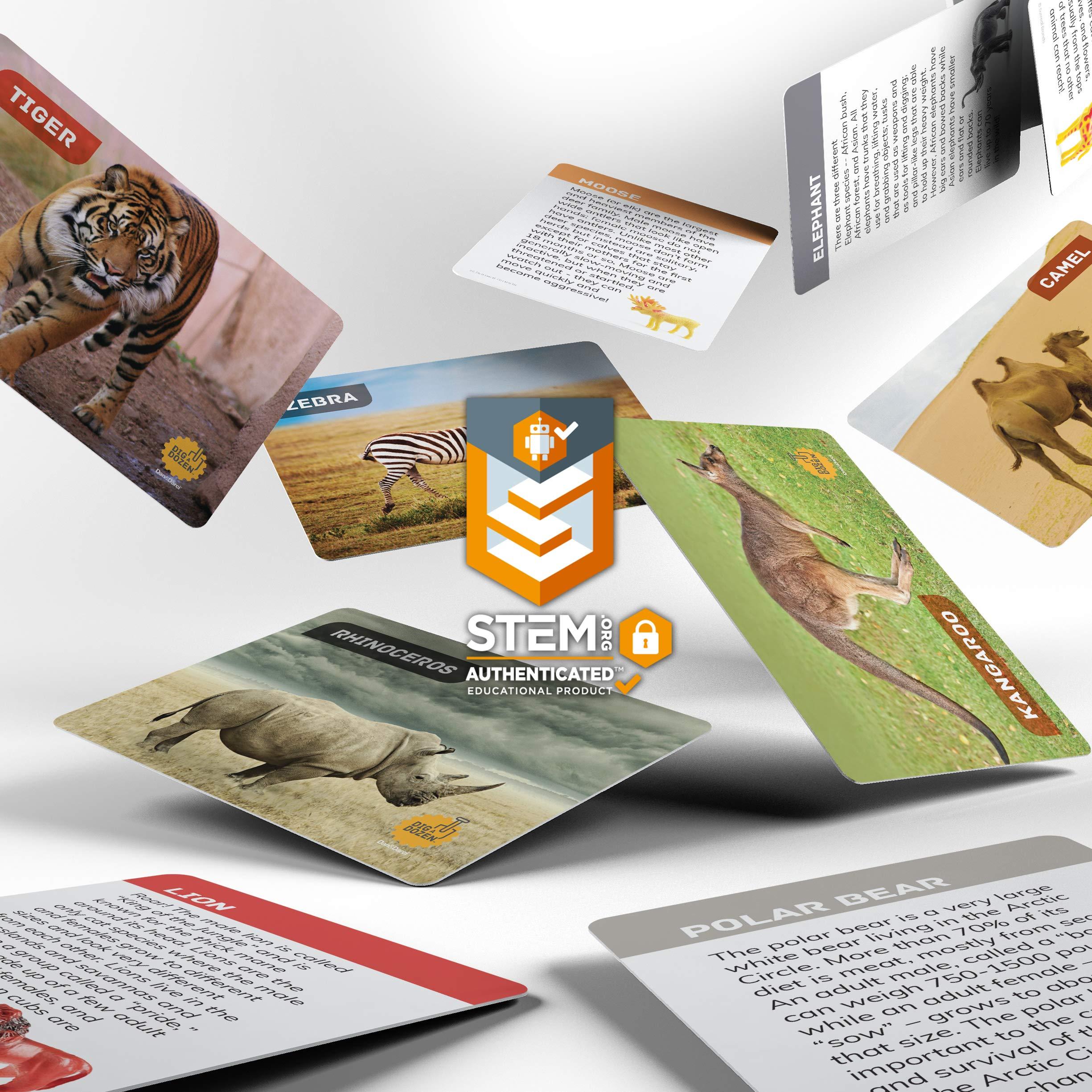 Dig a Dozen Egg Kit - Break Open 12 Eggs and Discover 12 Unique Cute Wild Safari Animals, with Learning Cards - Easter Archaeology Science STEM Gift for Kids - Image 3