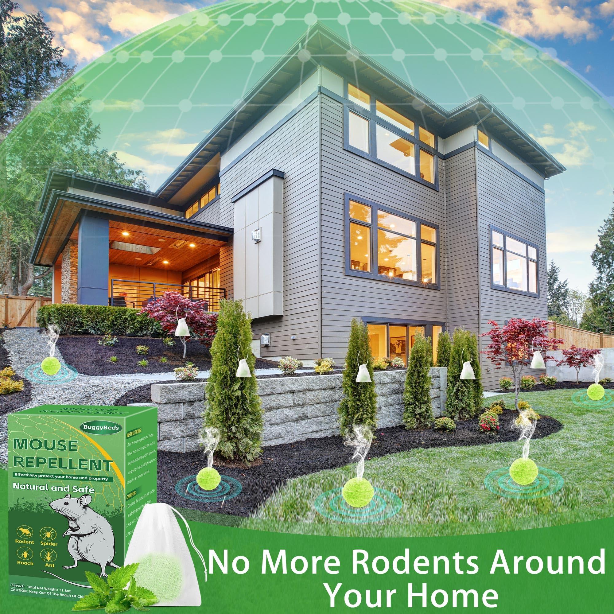 Rodent Mouse Repellent, 36 PCS Natural Rat Mice Repellant Indoor, Peppermint Oil to Repel Mice Rats Away Squirrel Pest Repellent Balls Rodent Deterrent for House Outdoor, Family & Pet Safe - Image 4