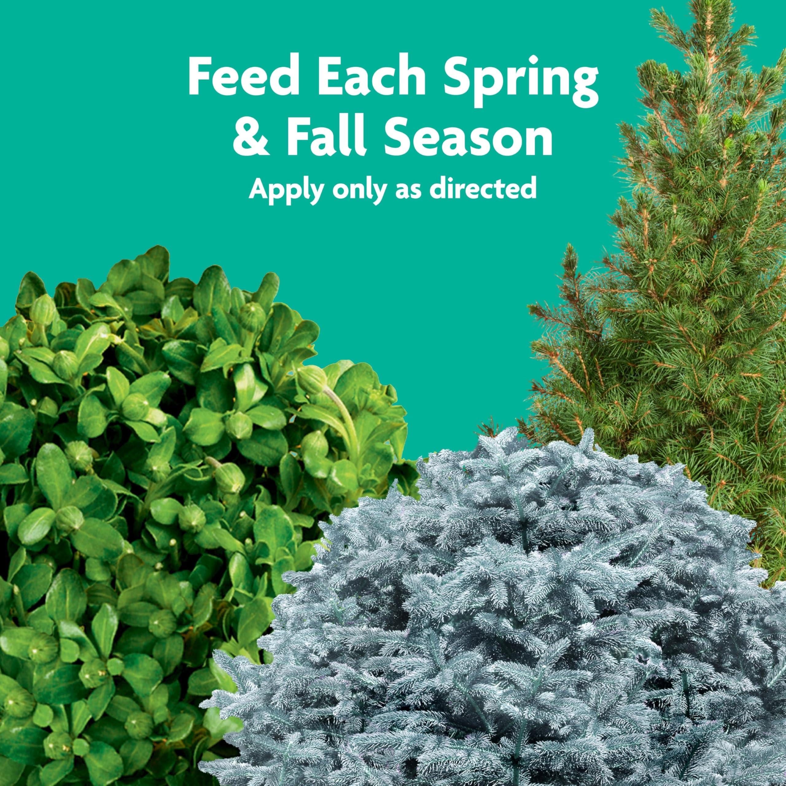 Miracle-Gro Tree and Shrub Plant Food Spikes, For Deciduous, Flowering and Evergreen Trees, Hydrangeas, and Acid-Loving Plants, 12 Spikes - Image 8