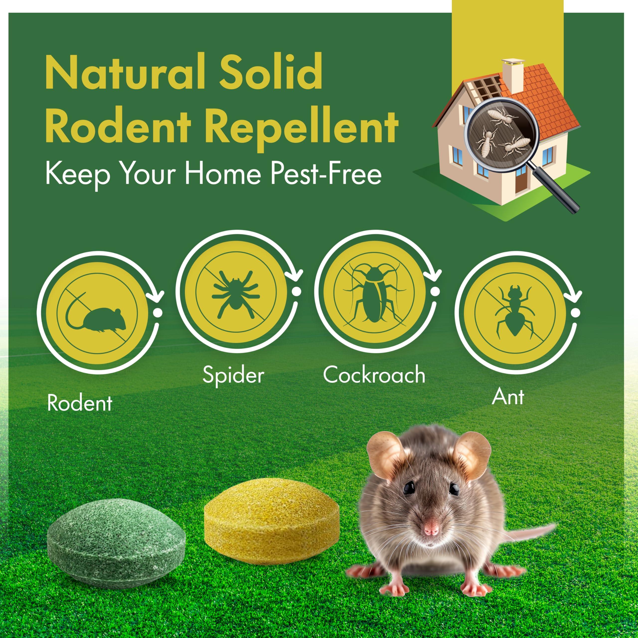 Mouse Repellent Balls, Peppermint Oil Infused Mice & Rat Repellent for Indoor, Outdoor & Car Engines – Safe, Long-Lasting Protection Against Rodents, (40 Pack) - Image 2