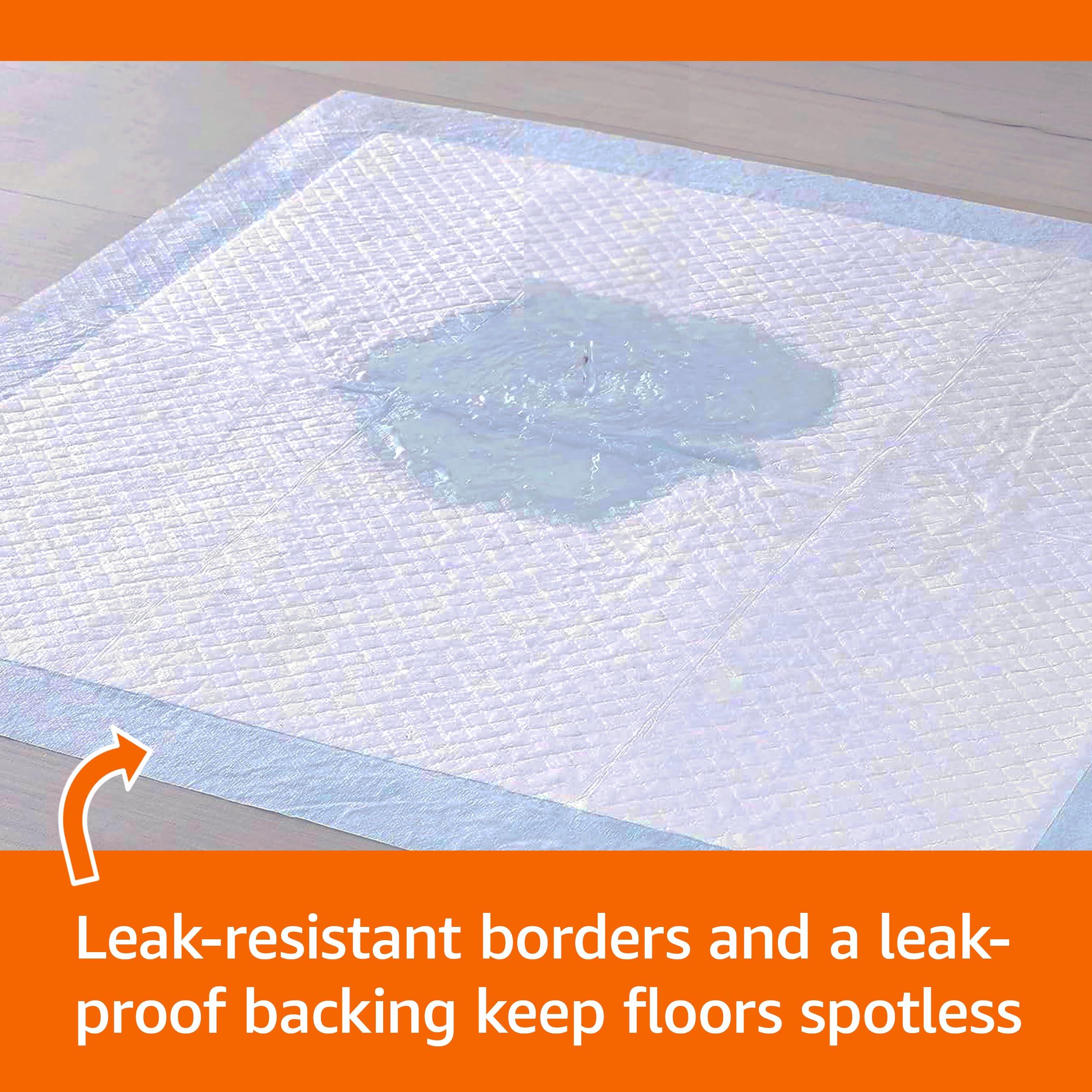 Amazon Basics X-Large Absorbent Puppy Pads, Leak-Proof, Quick-Dry, 28 x 34 Inches, Pack of 50, Blue & White - Image 2