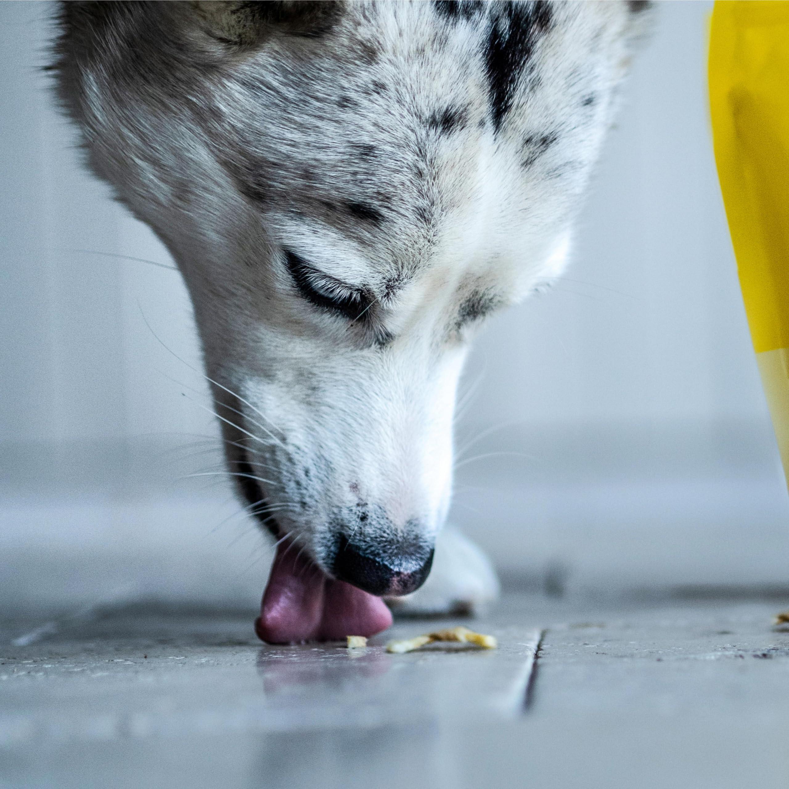Wholesome Pride Banana Bites Dog Treats, 2 Ingredients – Bananas & Coconut Oil, Grain-Free, 16oz - Image 8