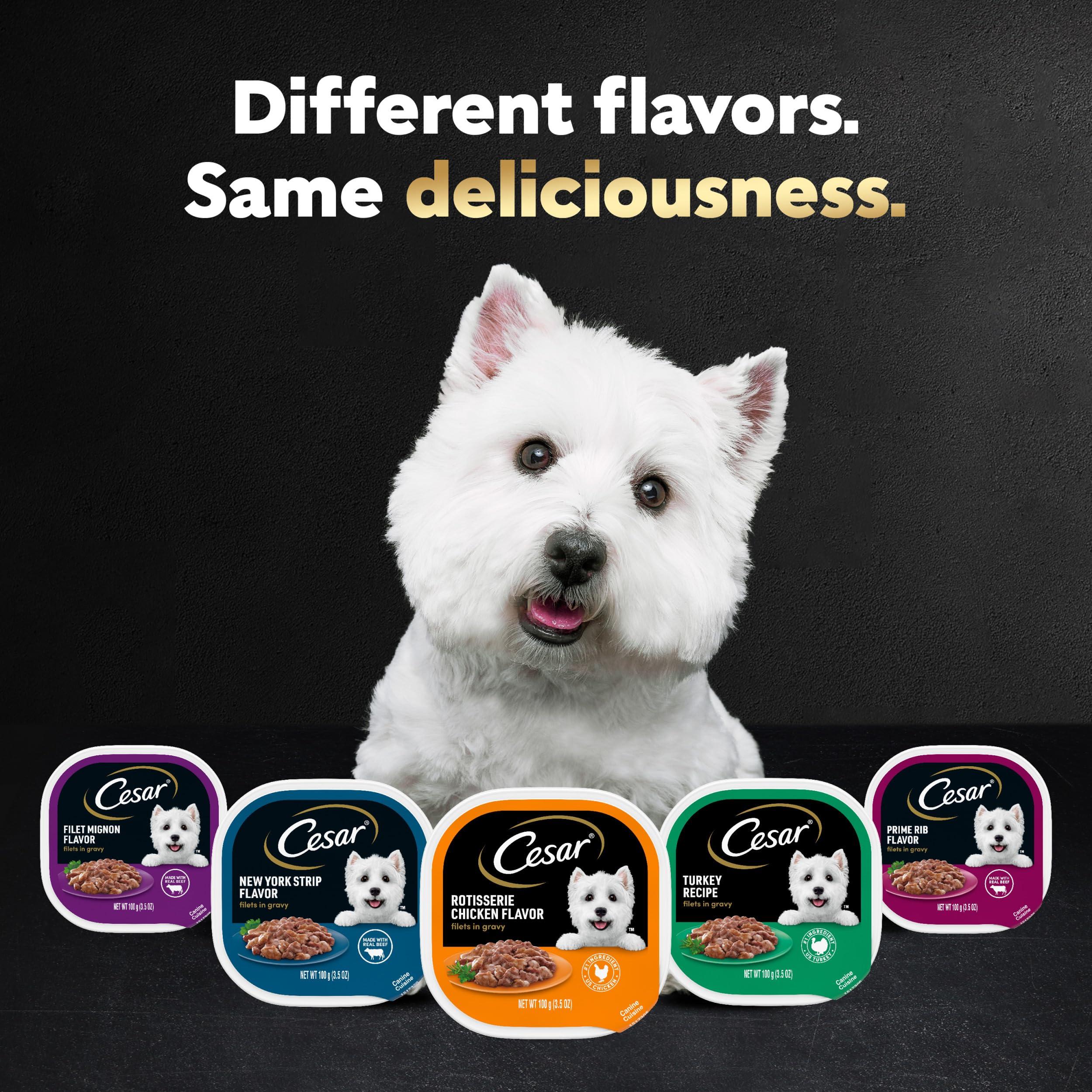 Cesar Filets in Gravy Adult Wet Dog Food, Filet Mignon and New York Strip Flavors Variety Pack, 3.5 oz. (12 Count, Pack of 1) - Image 7
