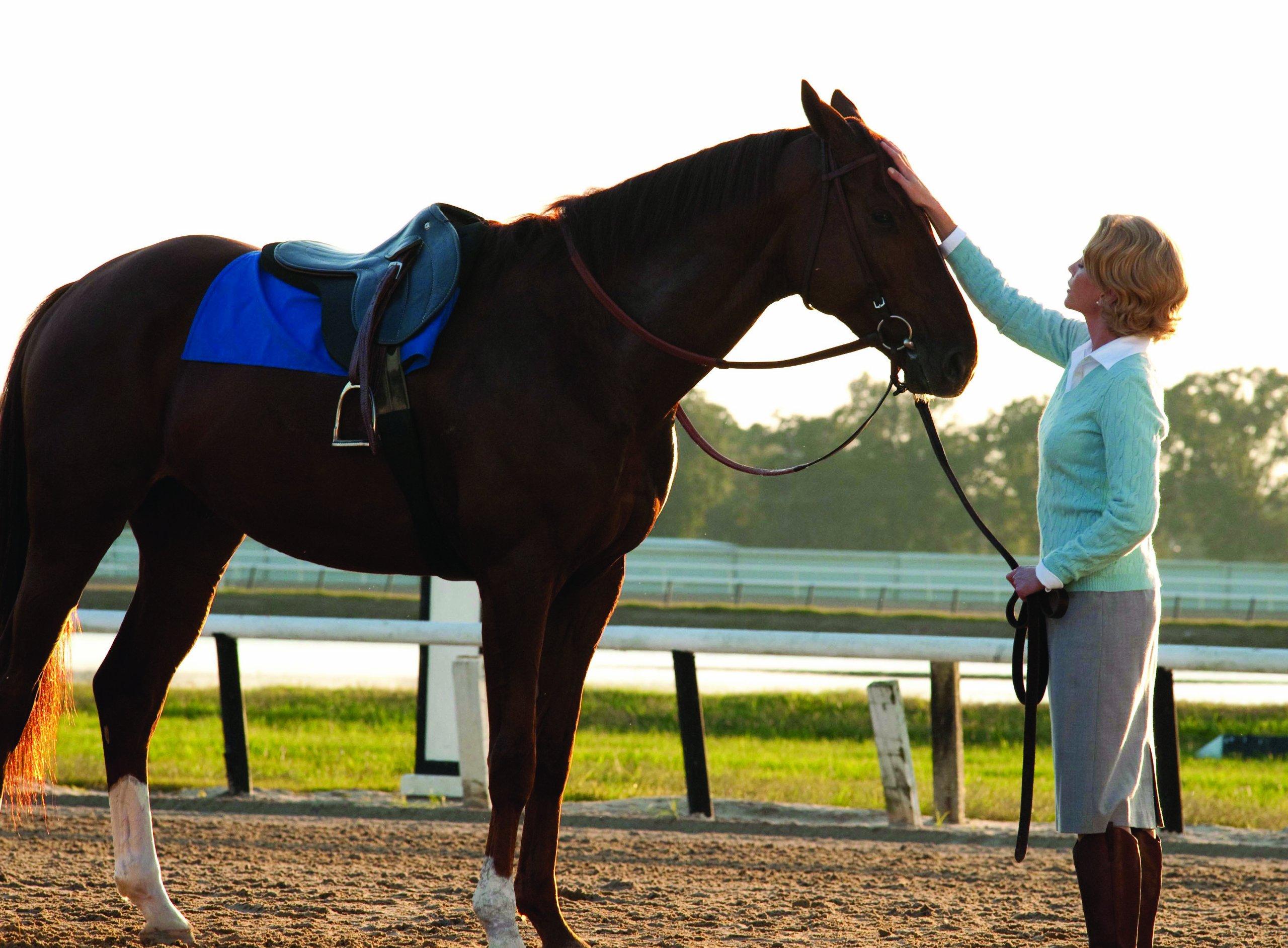 Secretariat - Image 7