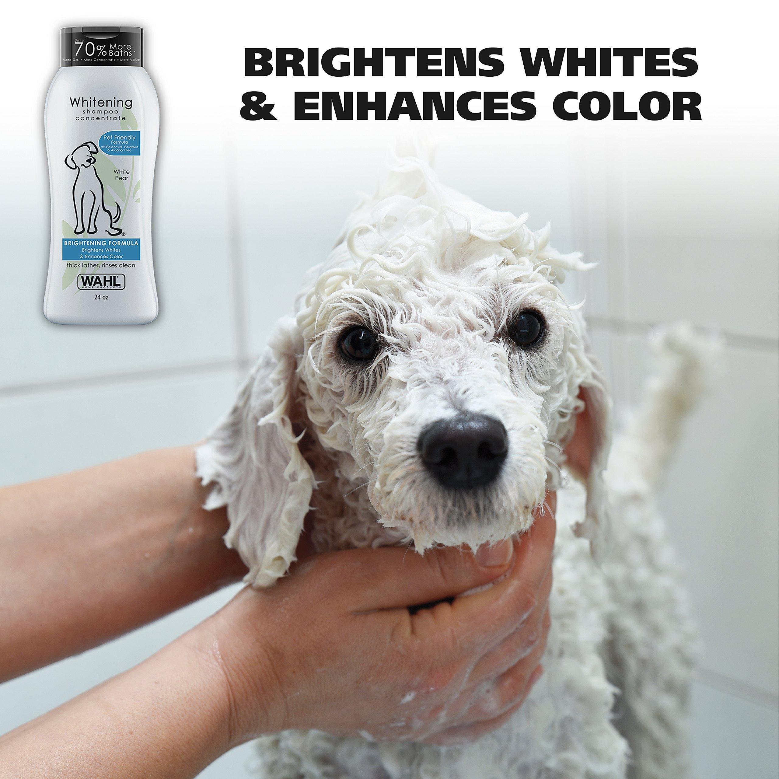 Wahl USA Whitening Shampoo White Pear scent for Pets – Whitening & Animal Odor Control with Silky Smooth Results for Grooming Dirty Dogs – 24 oz - Model 820001A - Image 9