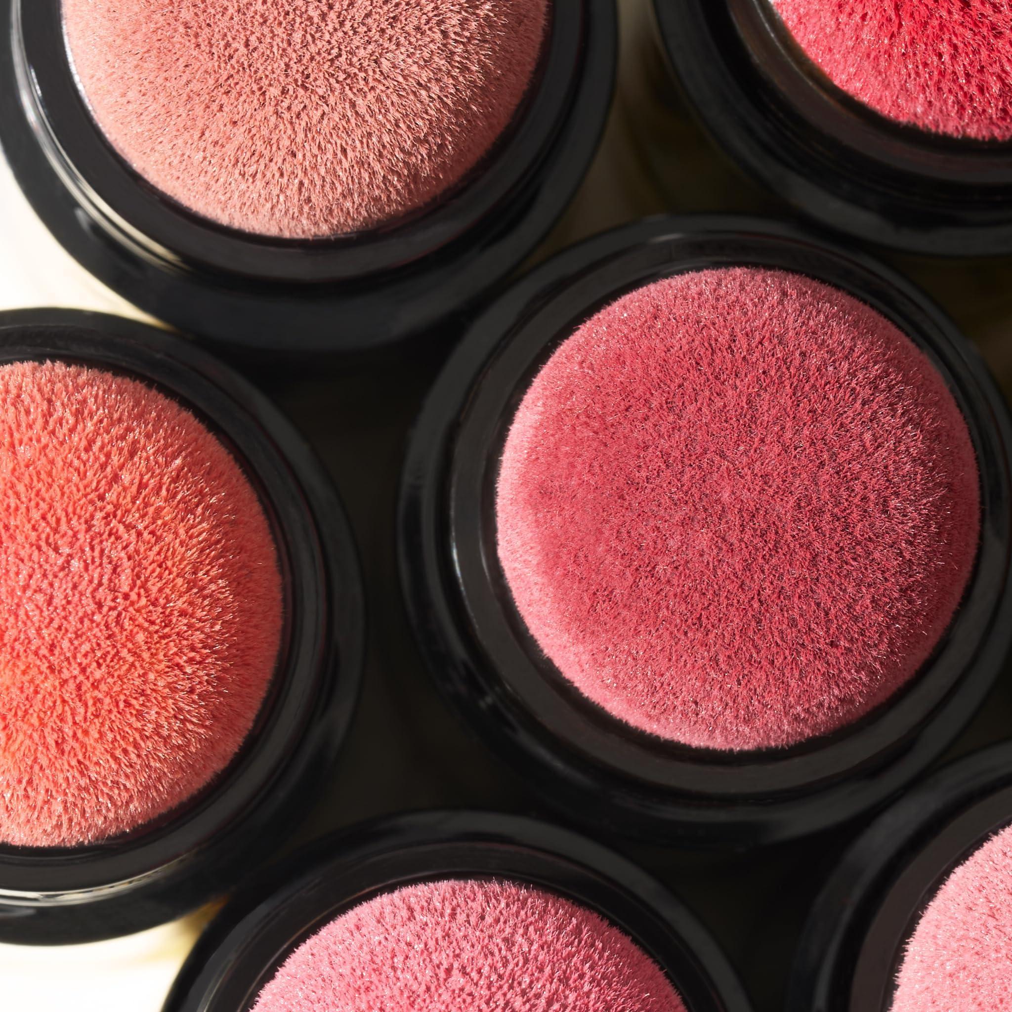 LAURA GELLER NEW YORK Serum Blush Tint, Lightweight Liquid Blush for Cheeks, Weightless Watercolor Sheer Finish, Practical Pink - Image 9