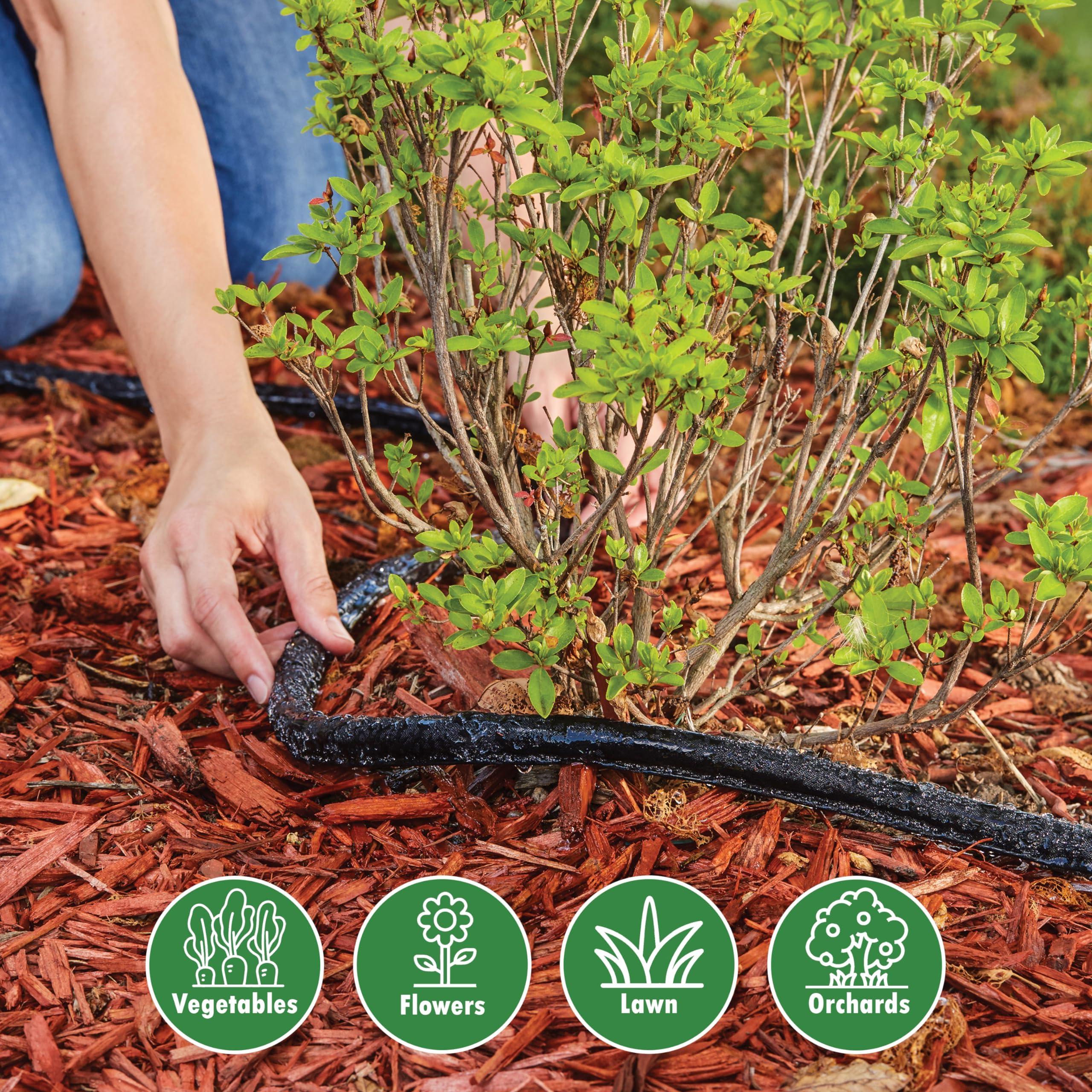 Gilmour 50' Black Flat Weeper Soaker Hose for Garden Beds, Drip Irrigation Outdoor Hose, Flexible Garden Hose for Vegetable Gardens, Flower Beds, Lawns, and Orchards - Image 6