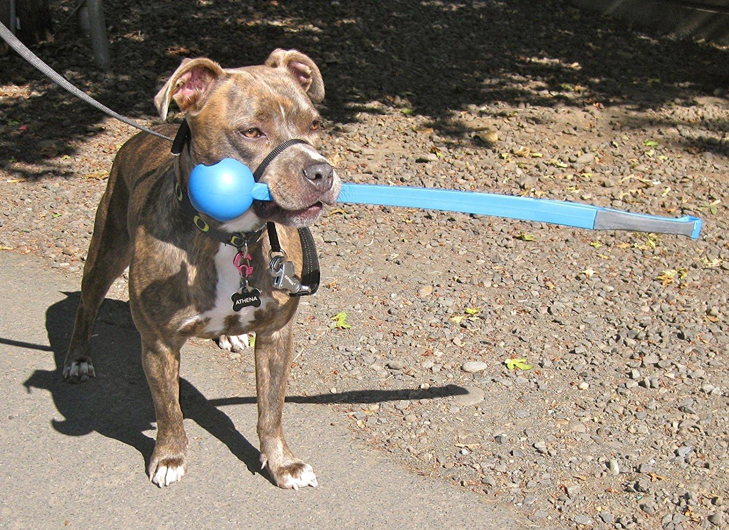 BALL LAUNCHER LARGE 26"L - Image 3