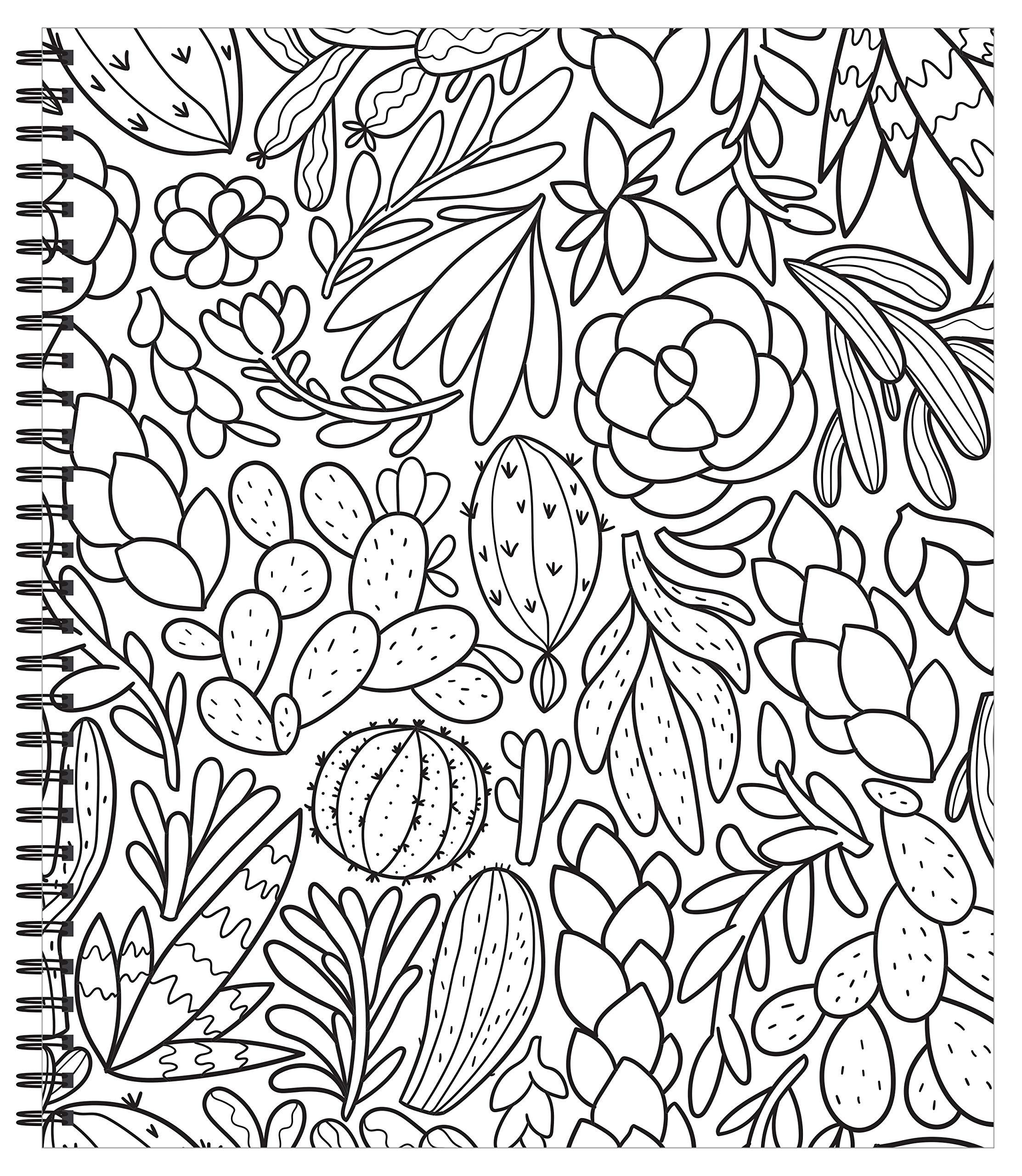 Large Print Easy Color & Frame - Stress Free (Adult Coloring Book) - Image 5