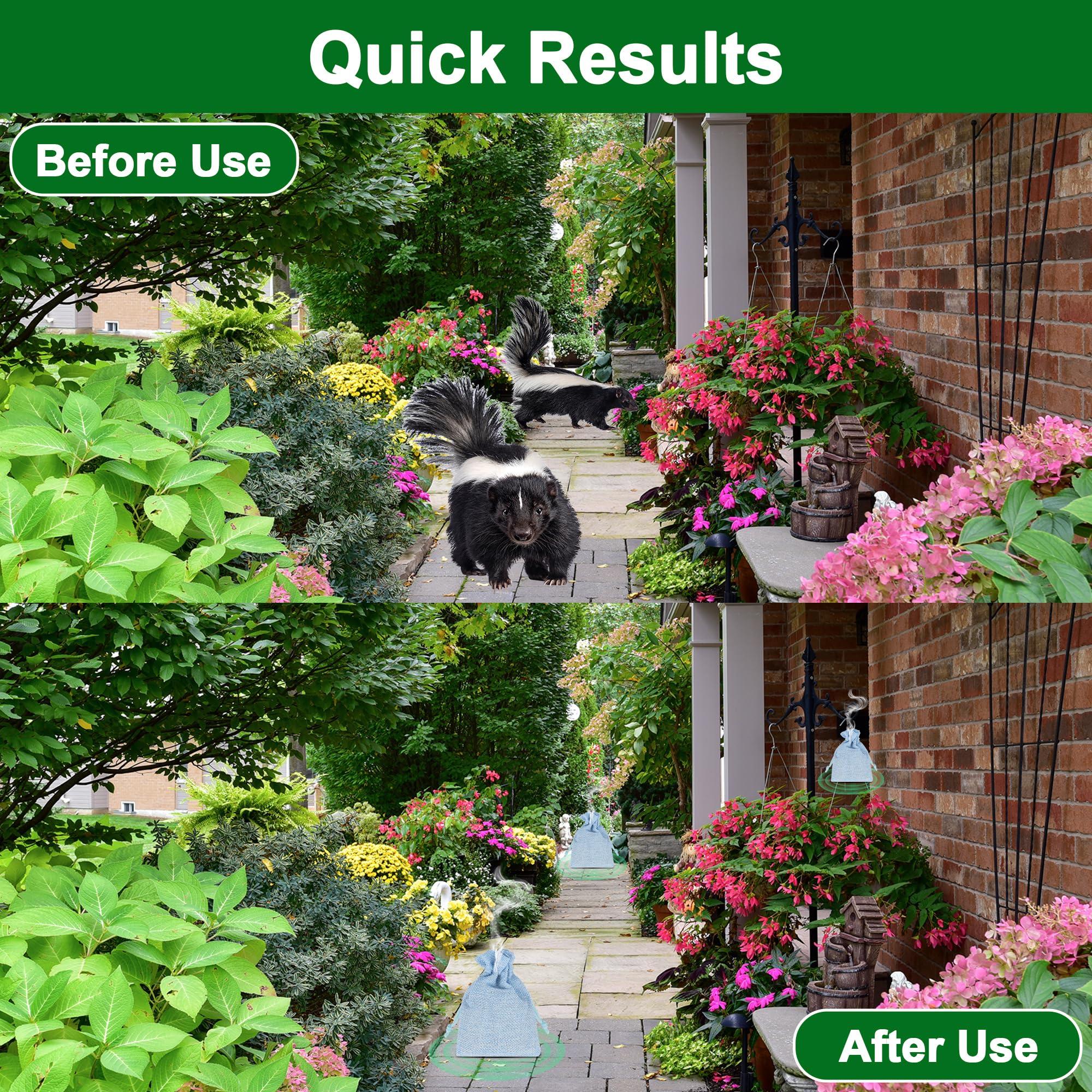 10 Pack Peppermint Oils Skunk Repllent Pouches - Effective Skunks Repellent, Peppermint Oil to Keep Skunks and Raccoons Out of Yard, Garden, Home, Garage, Warehouse, Natural Ingredients - Image 3