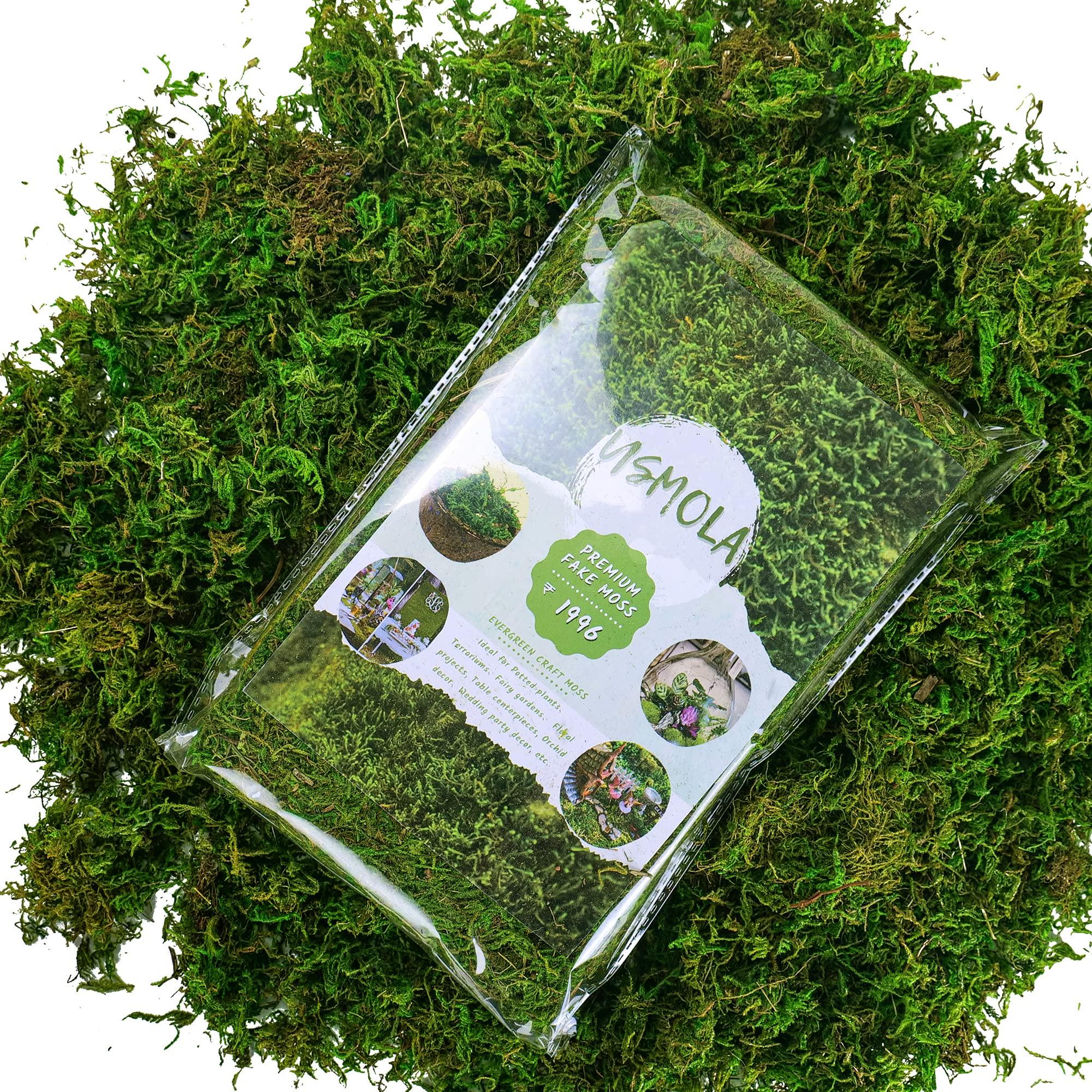 USMOLA Artificial Moss, 16OZ Fake Moss for Crafts, Decorative Centerpieces, Fairy Garden, Wedding Party Decor, Faux Potted Plants, 455gr (Fresh Green) - Image 2