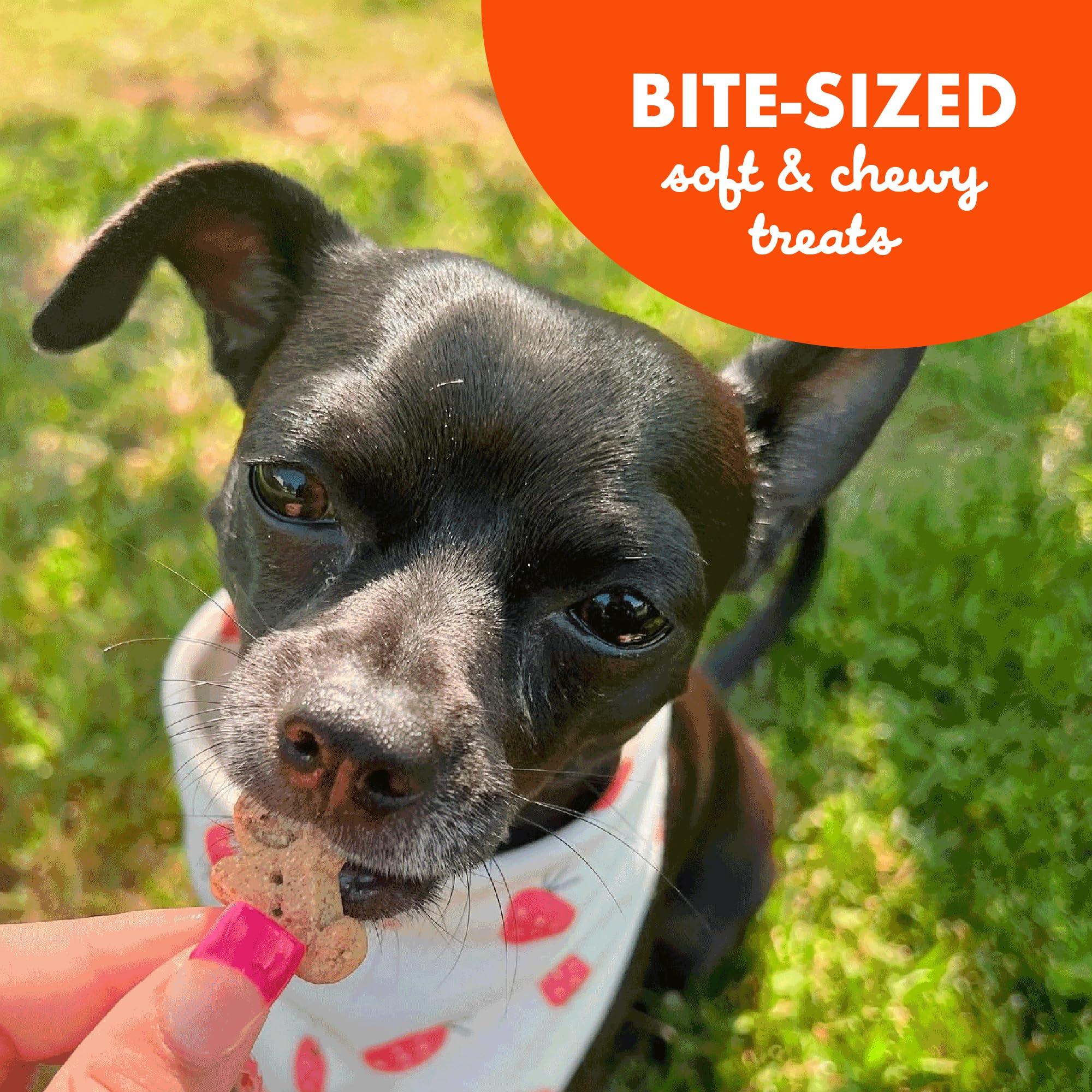 Buddy Biscuit Softies 5 oz. Pouch, Grain-Free Soft & Chewy, Natural Peanut Butter Flavor Dog Treats, Oven Baked in the USA - Image 8