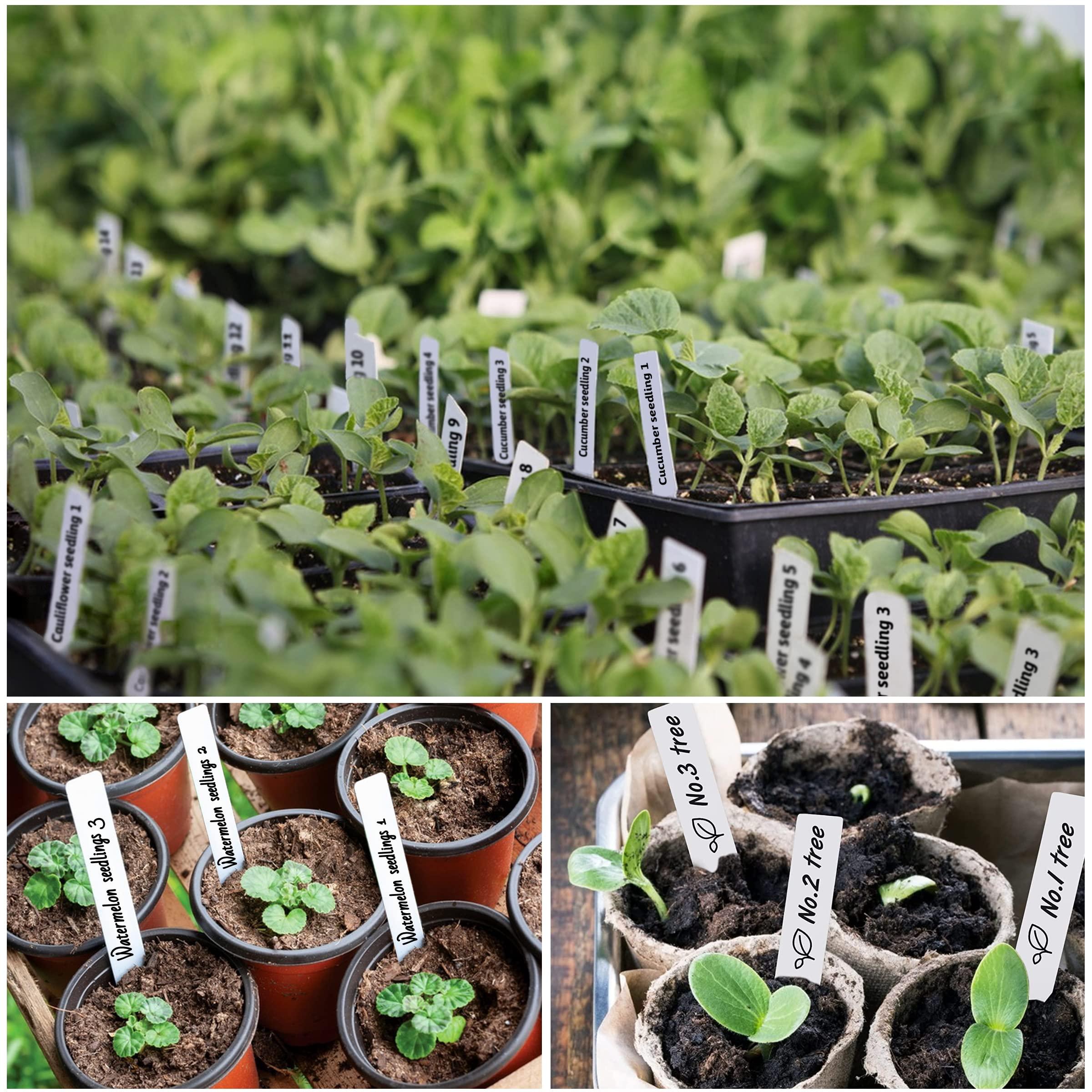 Plant Labels 4 Inch 500Pcs Plastic Plant Name Tags for Seedlings Garden Labels Markers Nursery Plant Tags Seed Labels Plant Label Stakes with Permanet Marking Pen Plant Markers for Outdoor Garden - Image 6