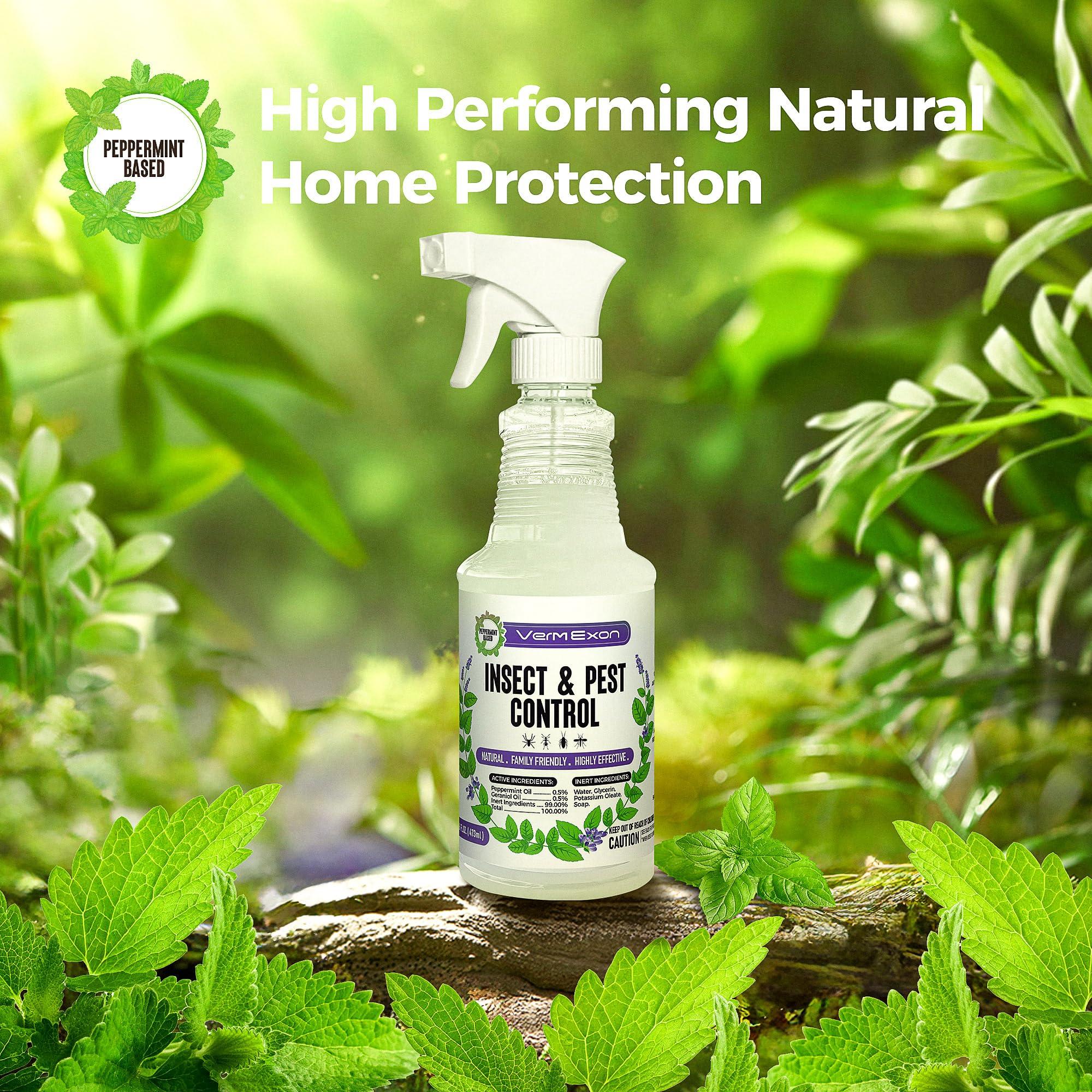 VermExon Peppermint Oil Insect & Pest Control Spray – 16oz Natural Plant-Based Bug Killer for Spiders, Ants, Flies, and Other Insects, Safe for Home & Kitchen Use - Image 4