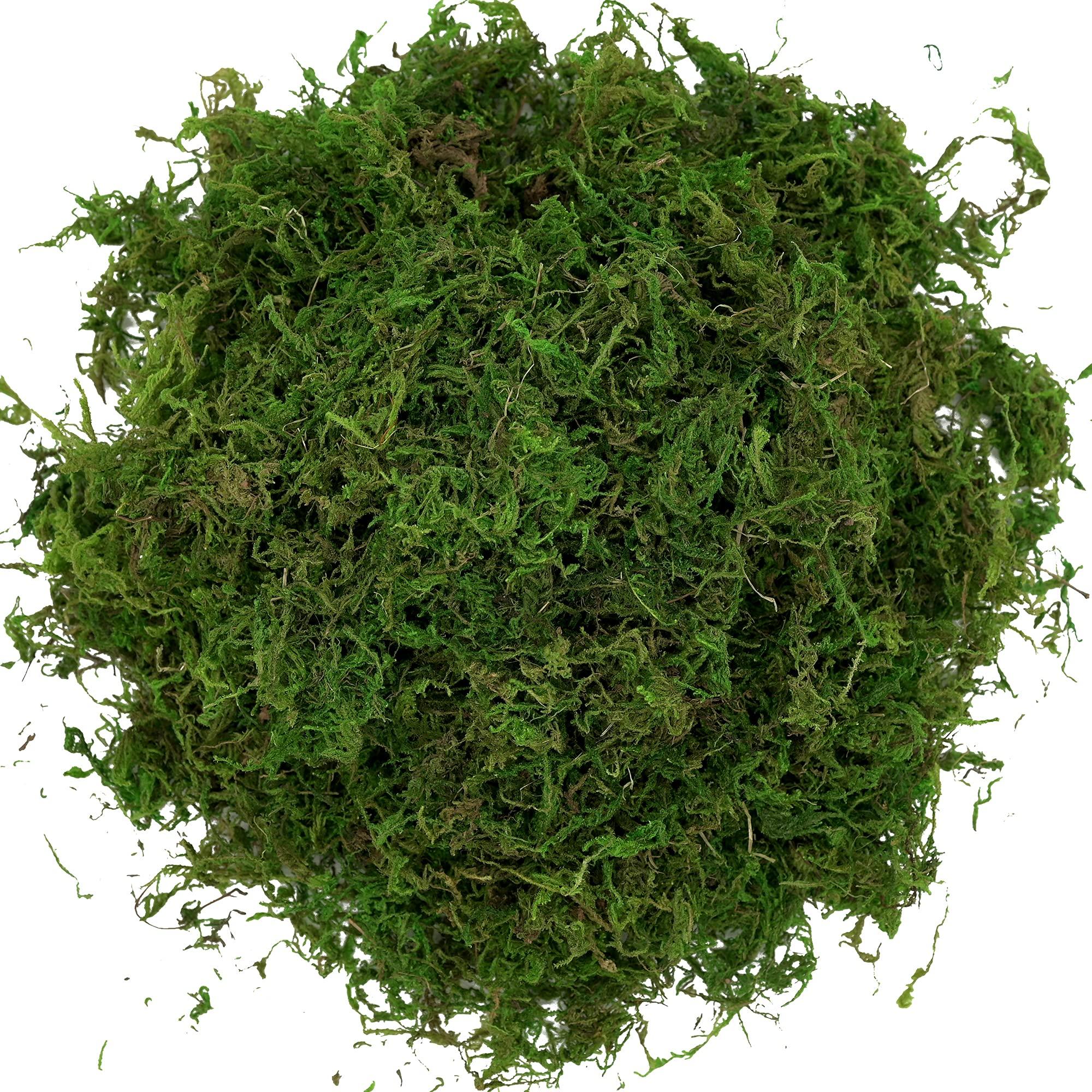 USMOLA Artificial Moss, 16OZ Fake Moss for Crafts, Decorative Centerpieces, Fairy Garden, Wedding Party Decor, Faux Potted Plants, 455gr (Fresh Green) - Image 6