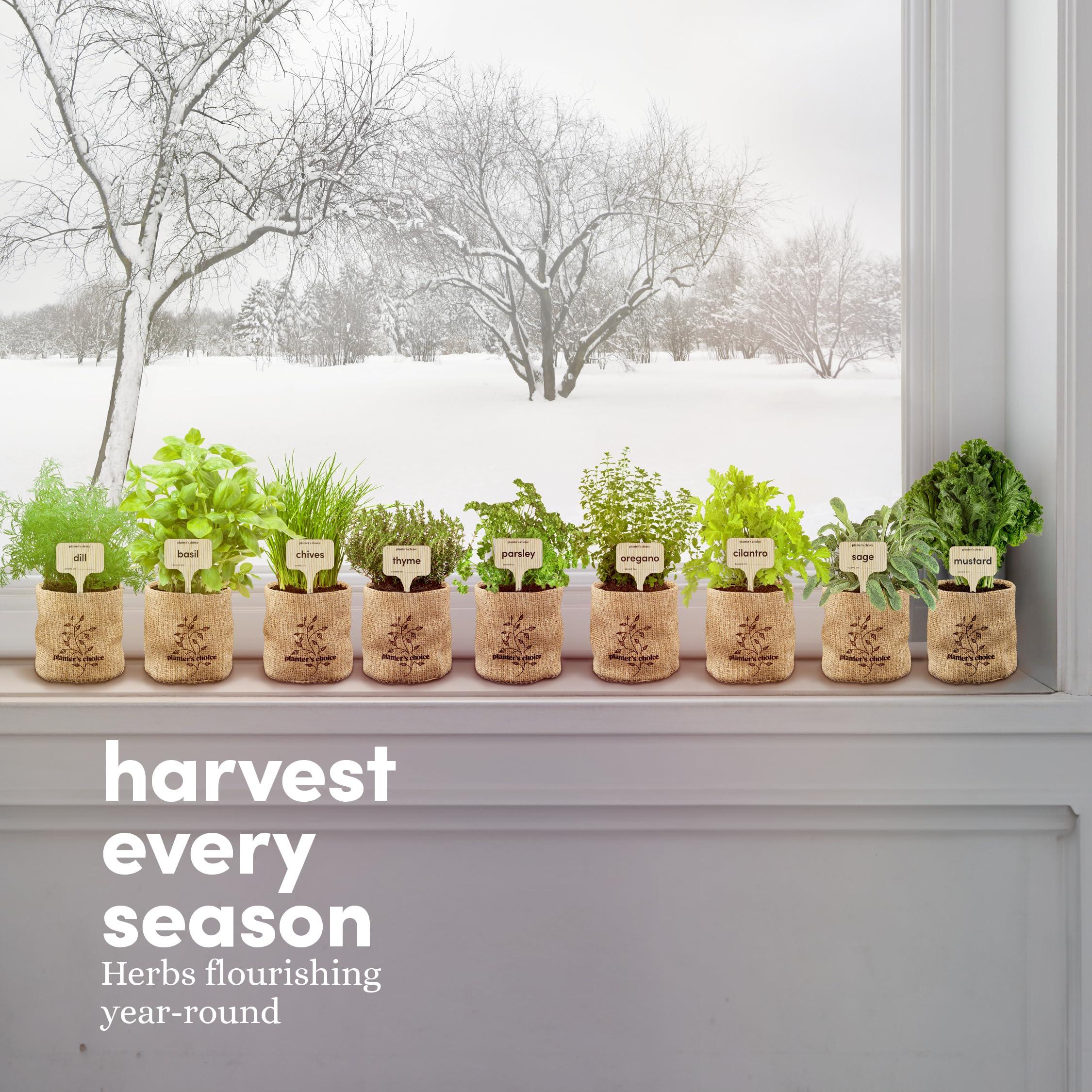 Planters' Choice 9 Herb Indoor Window Garden Kit - House Plants Seeds - Best Unique Gift Ideas for Women,Mom, Friend, Her, Birthday, Housewarming, Mother - New Home Kitchen Gifts - Live Plant Starter - Image 8