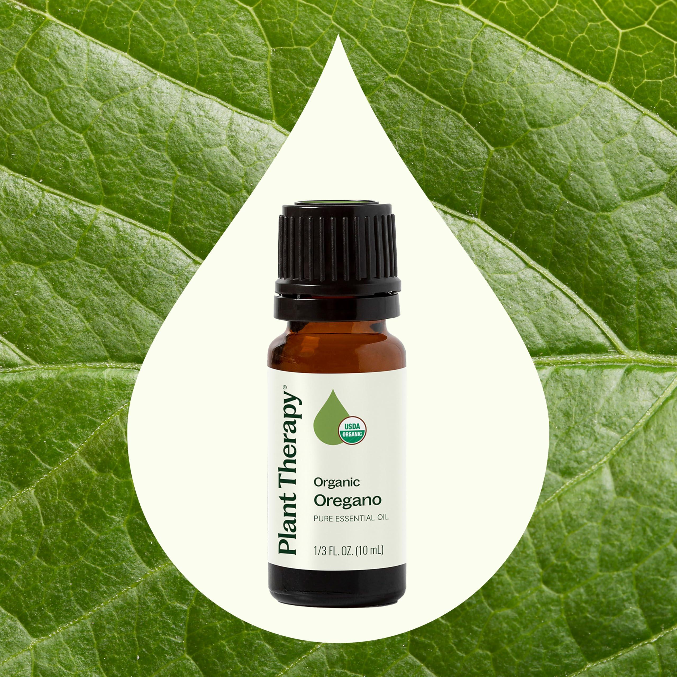 Plant Therapy Organic Oregano Essential Oil 100% Pure, USDA Certified Organic, Undiluted, Natural Aromatherapy, Therapeutic Grade 10 mL (1/3 oz) - Image 3