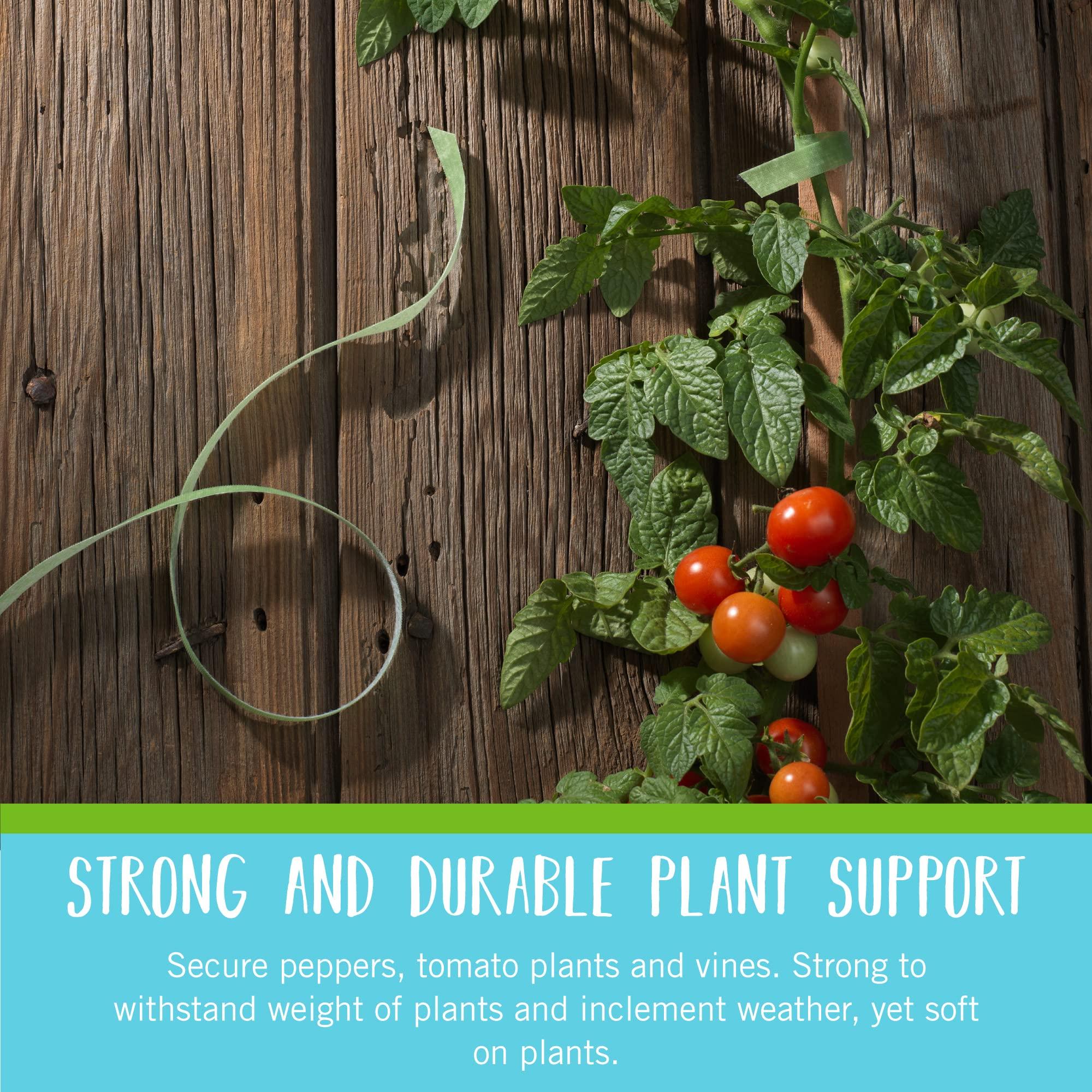 VELCRO Brand 90648 ONE-WRAP Garden Ties | Plant Supports for Effective Growing | Strong Grips are Reusable and Adjustable | Cut-to-Length, 75 ft x 1/2 in, Green-Recycled Plastic - Image 4