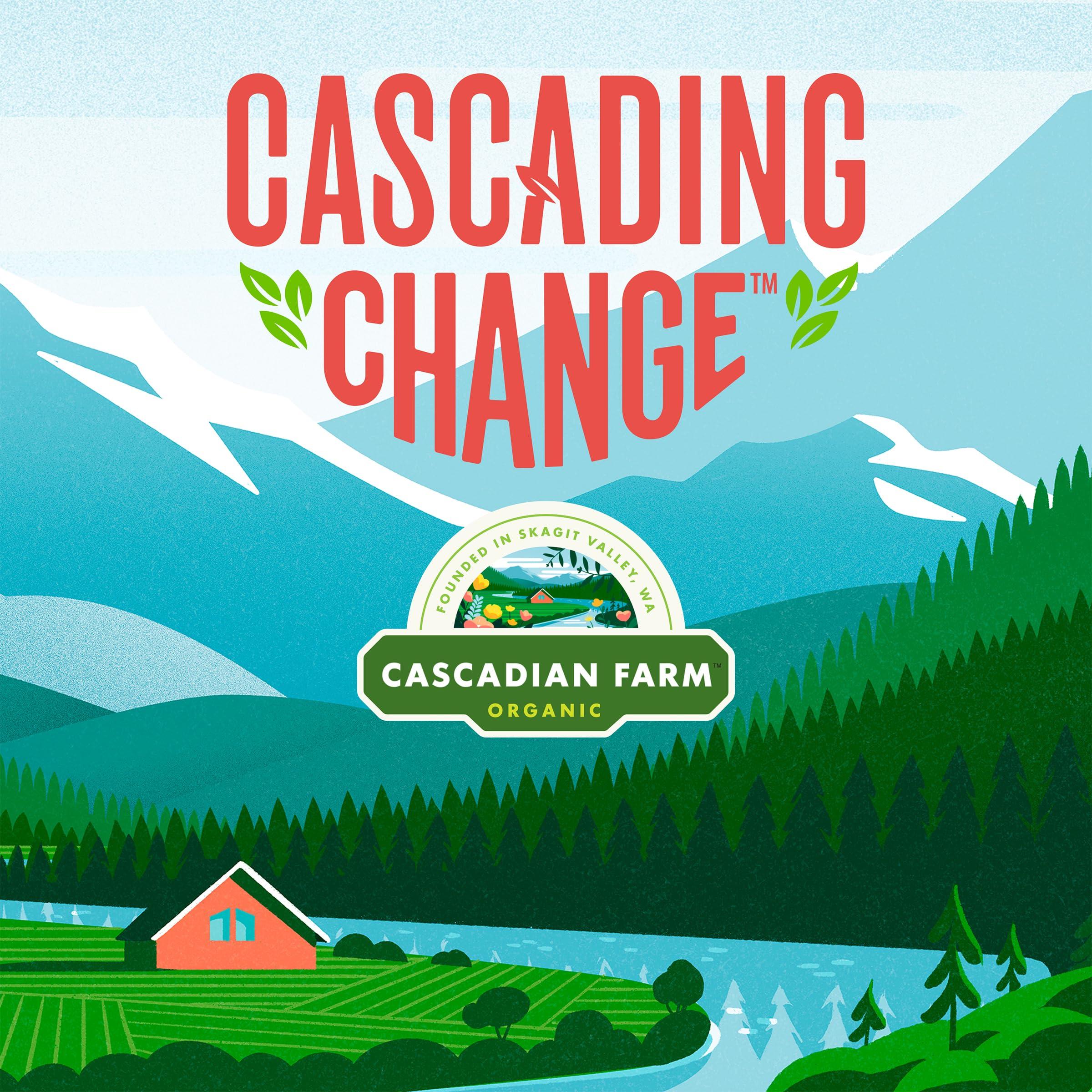 Cascadian Farm Organic Hearty Morning Fiber Cereal, Non-GMO, 14.6 oz. - Image 5