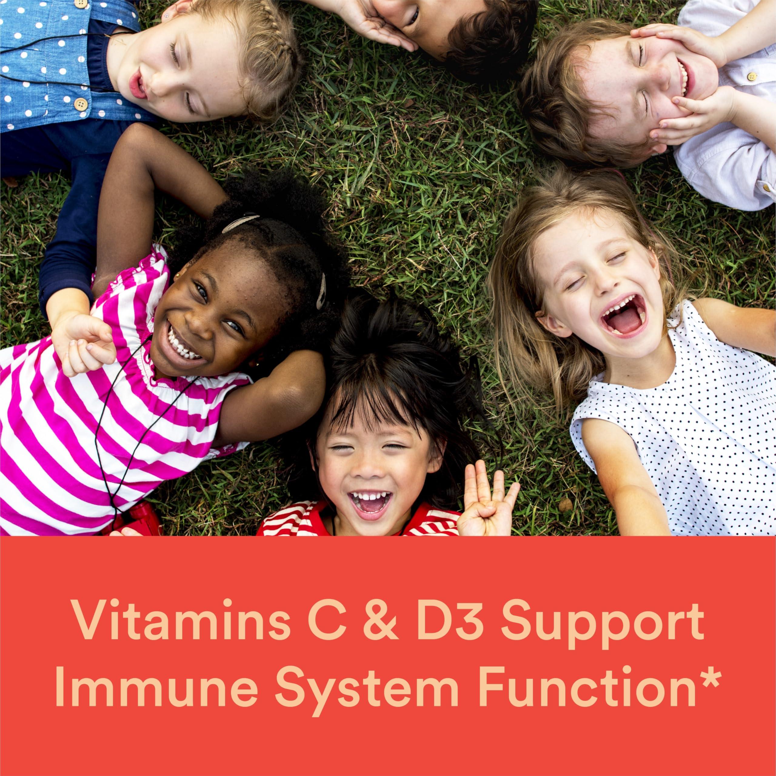 SmartyPants Kids Multivitamin Gummies: Omega 3 Fish Oil (EPA/DHA), Vitamin D3, C, Vitamin B12, B6, A, K & Zinc for Immune Support, Biotin, Gluten Free, Three Fruit Flavors, 120 Count (30 Day Supply) - Image 3