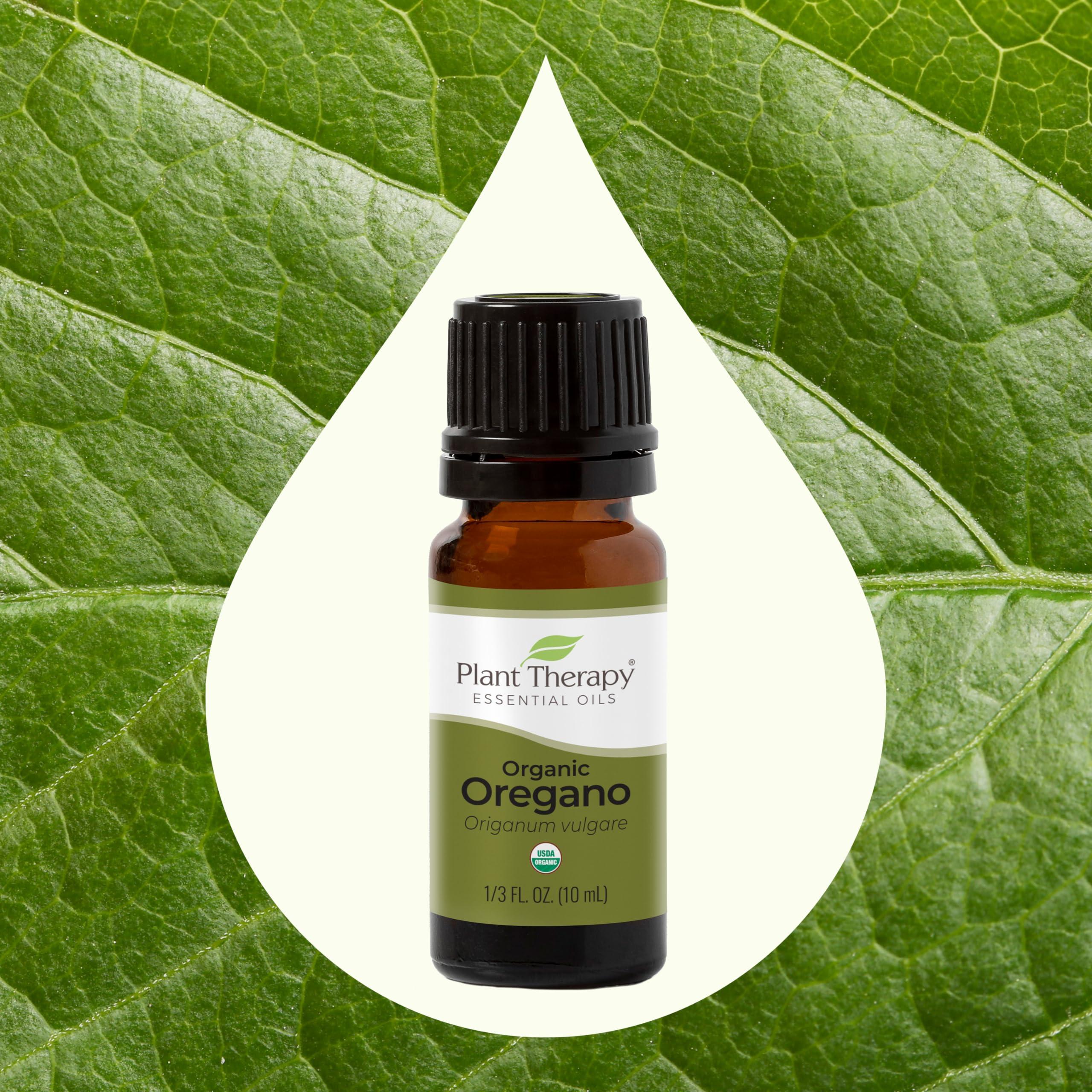 Plant Therapy Organic Oregano Essential Oil 100% Pure, USDA Certified Organic, Undiluted, Natural Aromatherapy, Therapeutic Grade 10 mL (1/3 oz) - Image 3