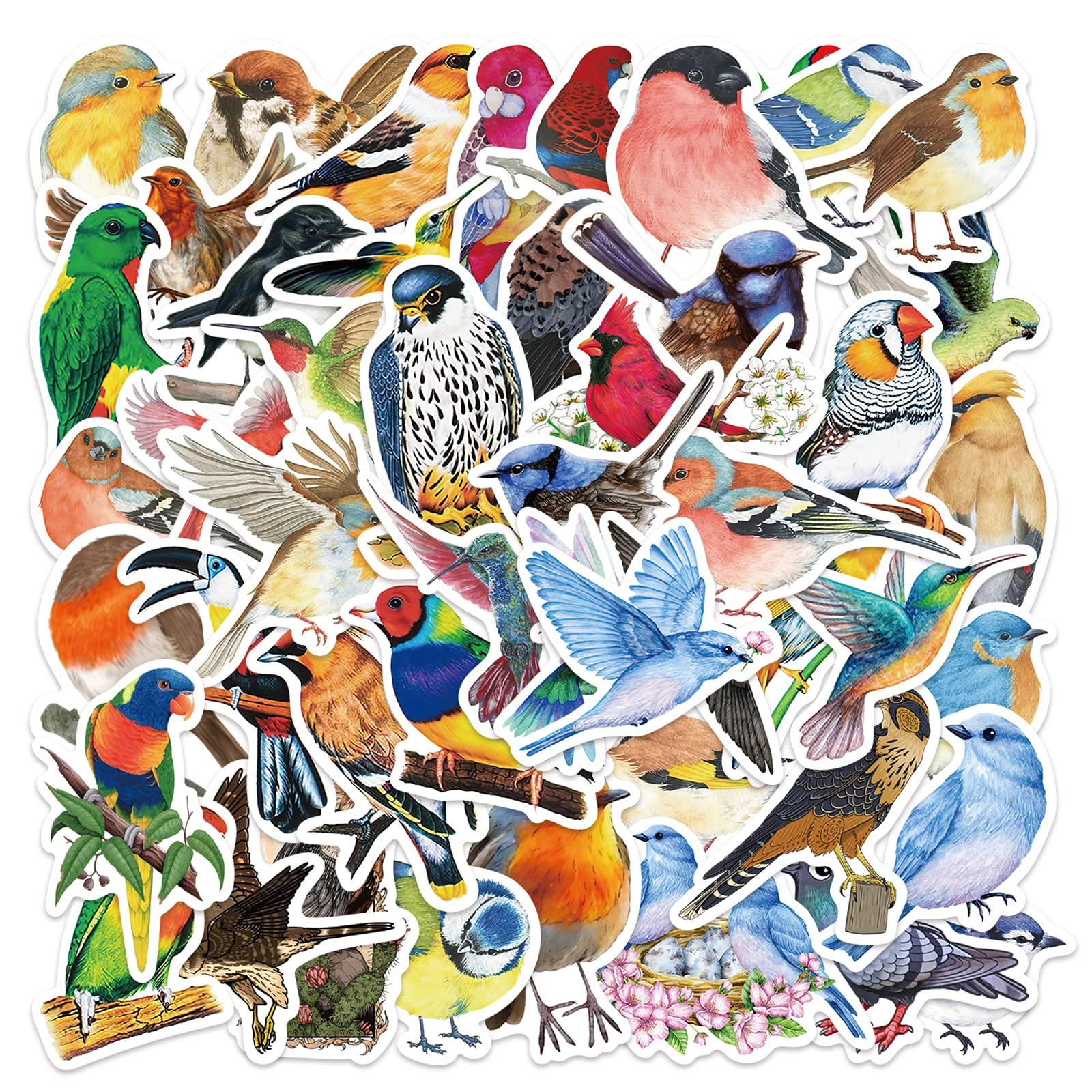 100 PCS Bird Stickers, Vinyl Waterproof Bird Stickers for Water Bottles, Laptop, Notebook, Scrapbook, Luggage, Cell Phone, Skateboard, Helmet
