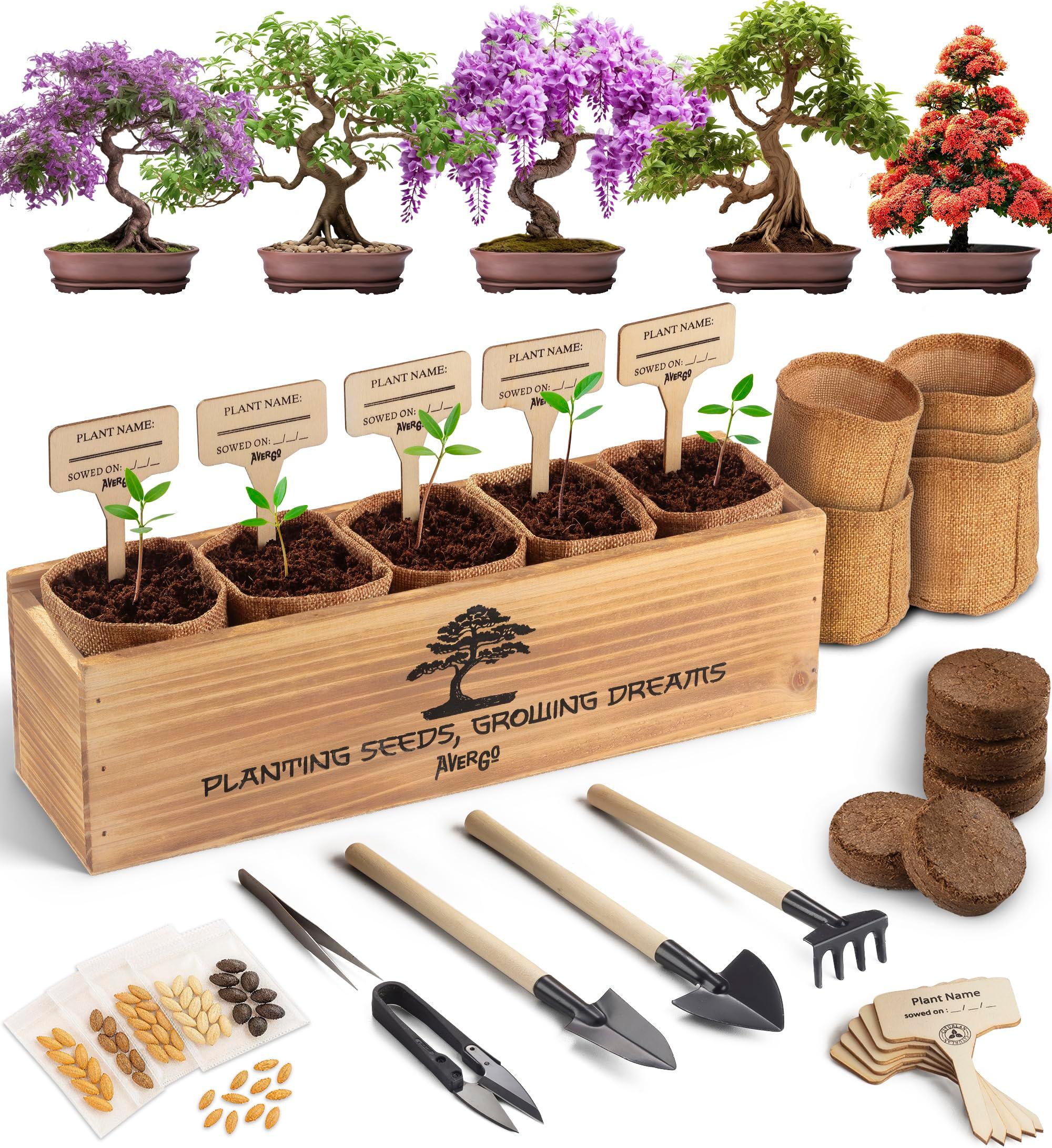 AVERGO Bonsai Tree Kit – 5X Unique Japanese Bonzai Trees | Complete Indoor Starter Kit for Growing Plants with Bonsai Seeds, Tools & Planters – Gardening Gifts for Women & Men