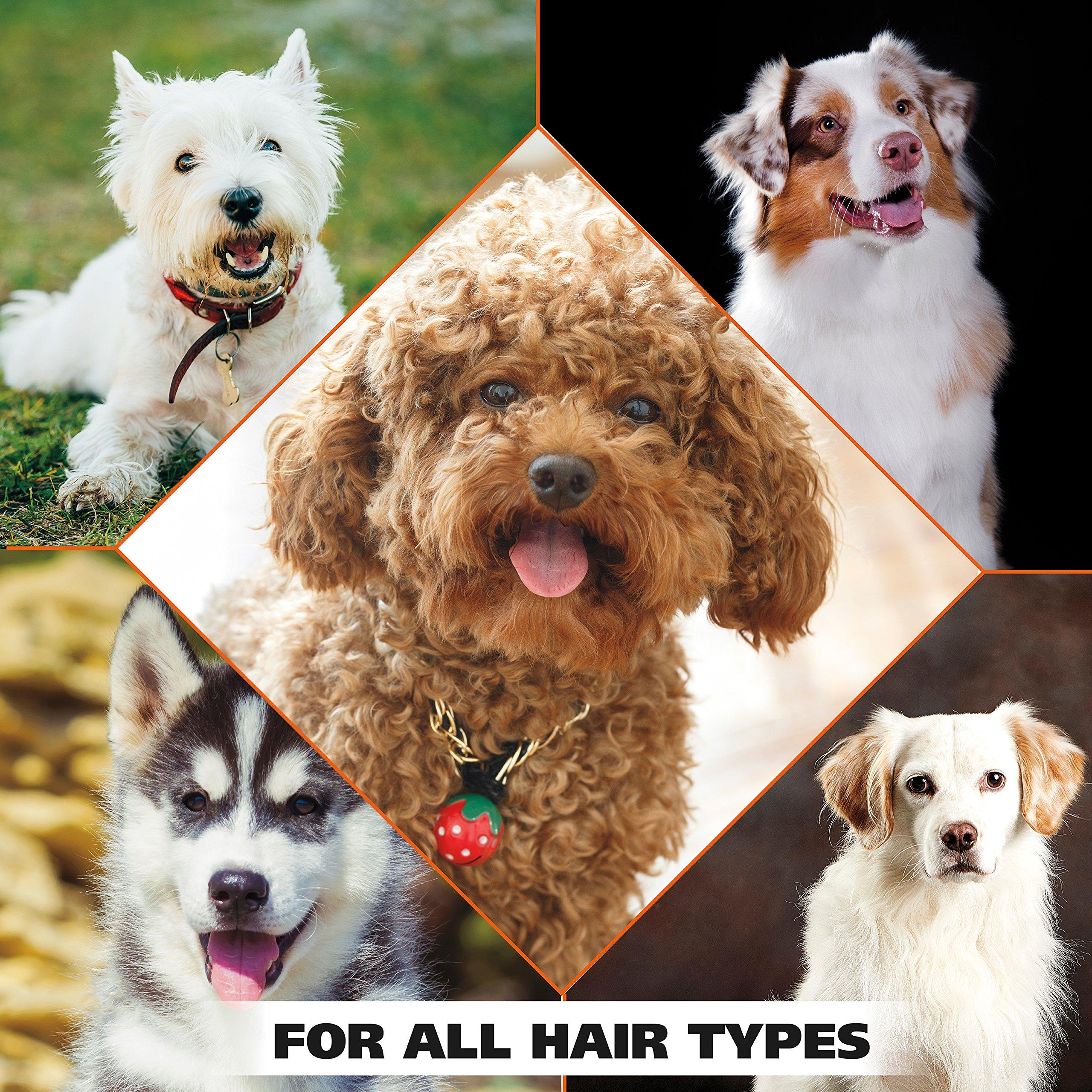 Wahl USA 4-in-1 Calming Pet Shampoo for Dogs – Cleans, Conditions, Detangles, & Moisturizes with Lavender Chamomile - Pet Friendly Formula - 24 Oz - Model 820000A - Image 8