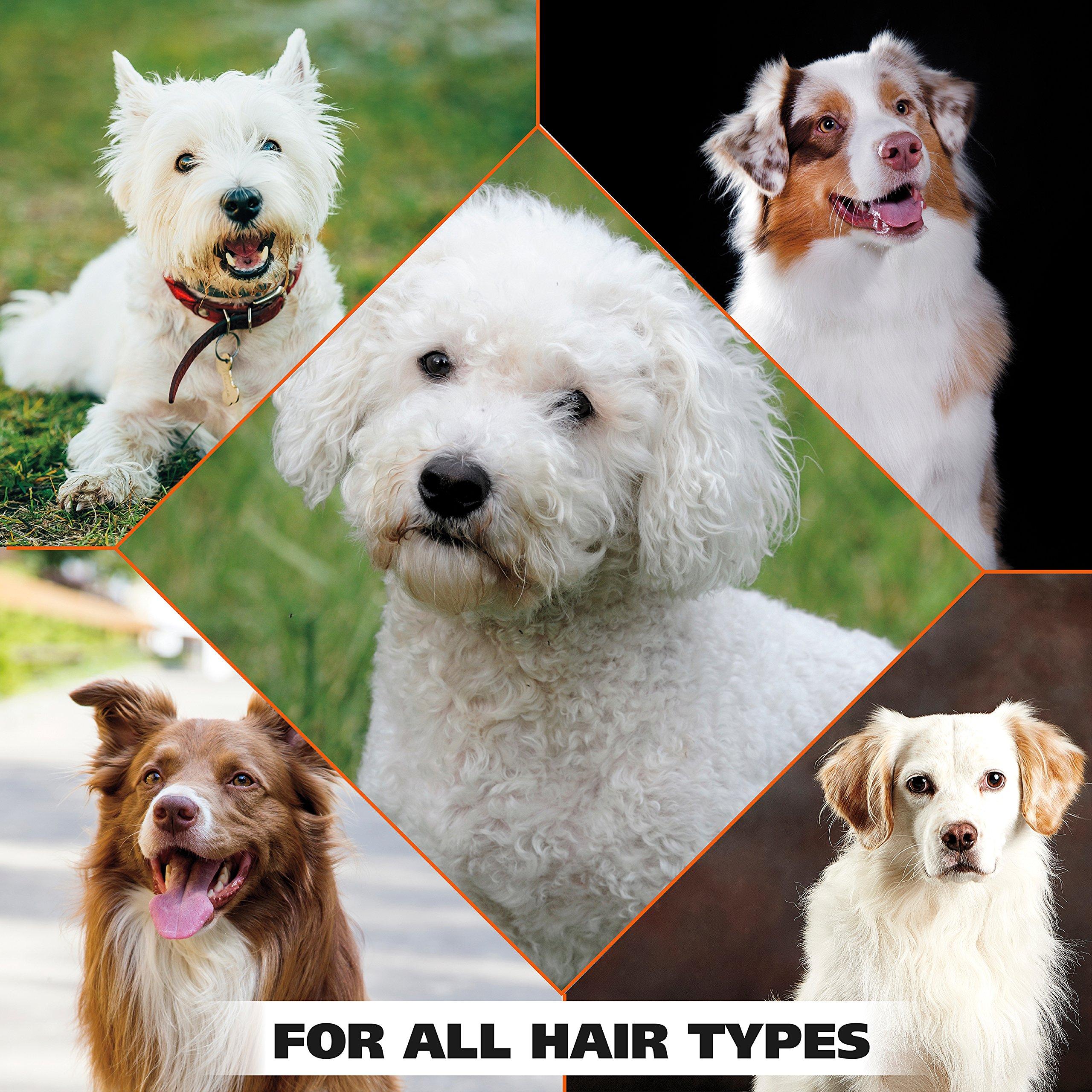 Wahl USA Whitening Shampoo White Pear scent for Pets – Whitening & Animal Odor Control with Silky Smooth Results for Grooming Dirty Dogs – 24 oz - Model 820001A - Image 7