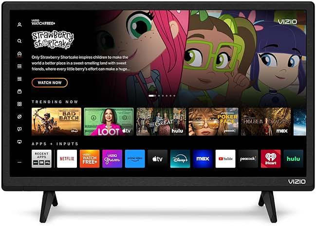 VIZIO 24-inch D-Series Full HD 1080p Smart TV with Apple AirPlay and Chromecast Built-in, Alexa Compatibility, D24f-J09, 2022 Model by VIZIO — Shop at Bazar