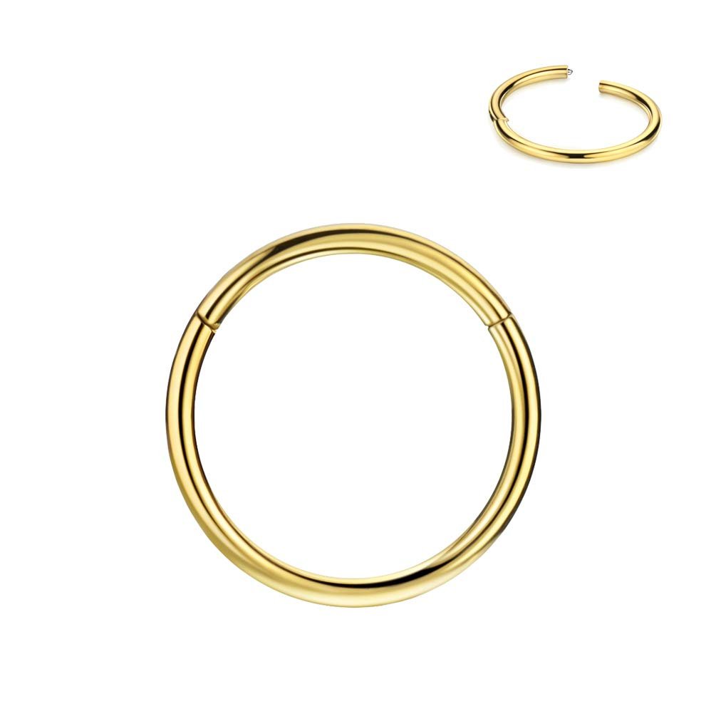 FANSING Men Women 316L Surgical Steel Hinged Nose Rings Hoop for Nostril Septum Cartilage Helix Daith Tragus Rook Conch Lip Ear Lobe Piercings