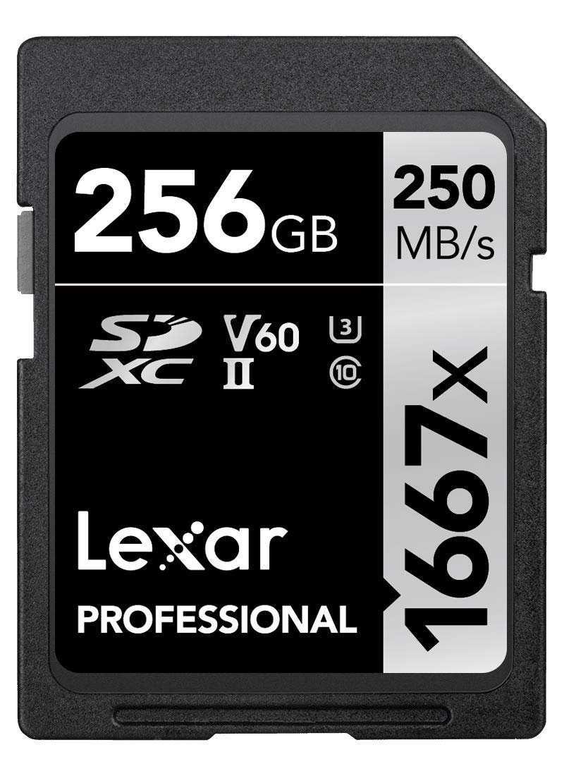 Lexar 256GB Professional 1667x SD Card, UHS-II, C10, U3, V60, Full HD, 4K, Up To 250MB/s Read SDXC Memory Card, for Professional Photographer, Videographer, Enthusiast (LSD256CBNA1667)