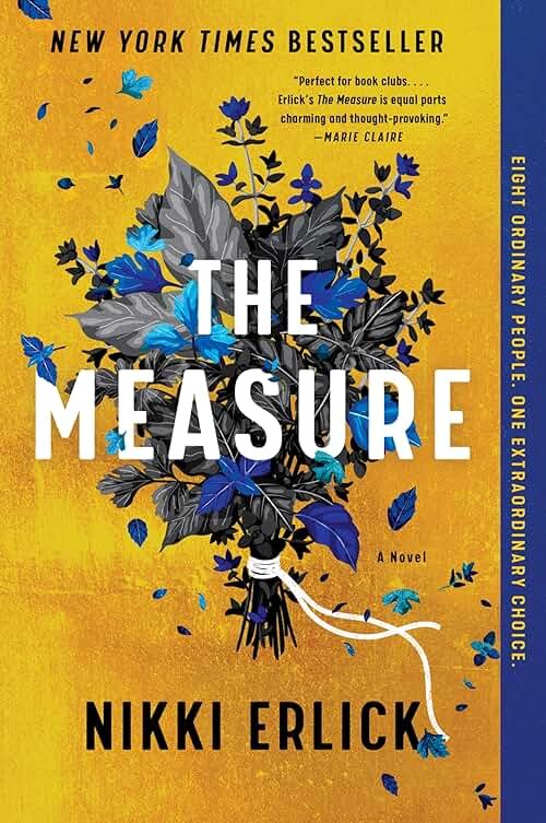 The Measure: A Novel – The Instant New York Times Bestseller About Hope, Destiny, and Living Life to the Fullest - Product Image