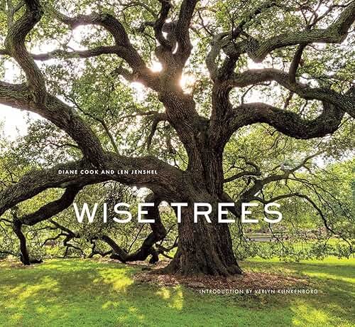 Wise Trees: Ancient trees photographed worldwide, each holding centuries of history in gnarled bark and roots. - Product Image