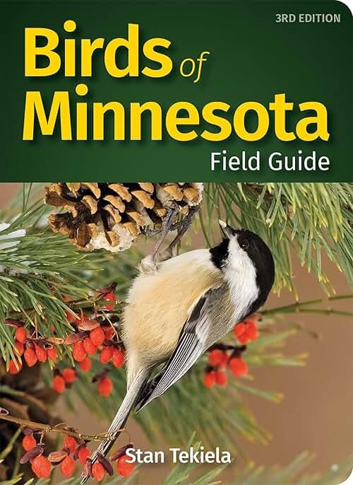 Birds of Minnesota Field Guide (Bird Identification Guides) - Product Image