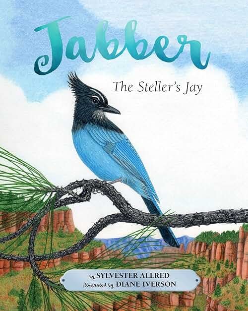 Jabber the Steller's Jay - Product Image