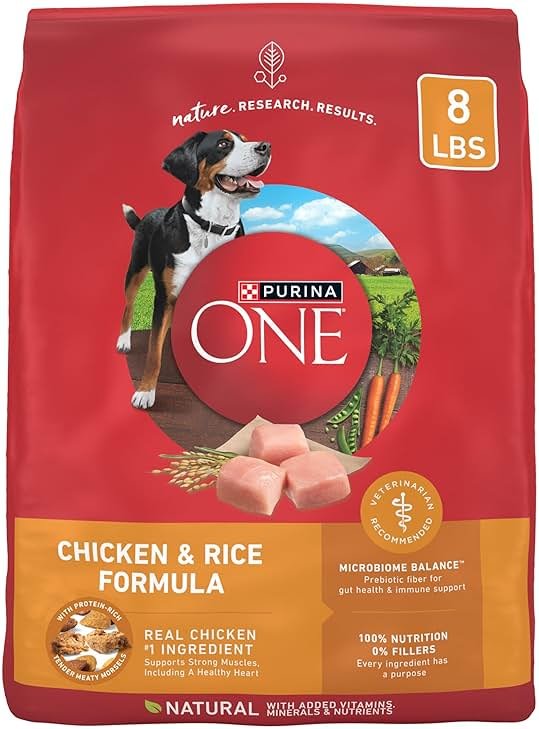 Purina ONE Chicken and Rice Formula Dry Dog Food - 8 lb. Bag - Product Image