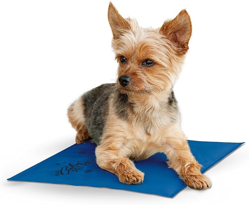 K&H Pet Products Coolin' Pet Pad Blue Small 15 X 11 Inches - Product Image