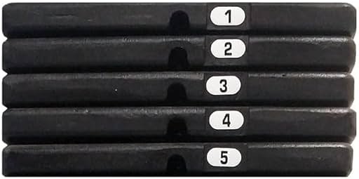 Body-Solid 50 Pound Weight Stack Add On Kit, Powerline Home Gym Machine Equipment, Cable Machine Add-On Weights Set Includes 5 Cast Iron Plates - Product Image