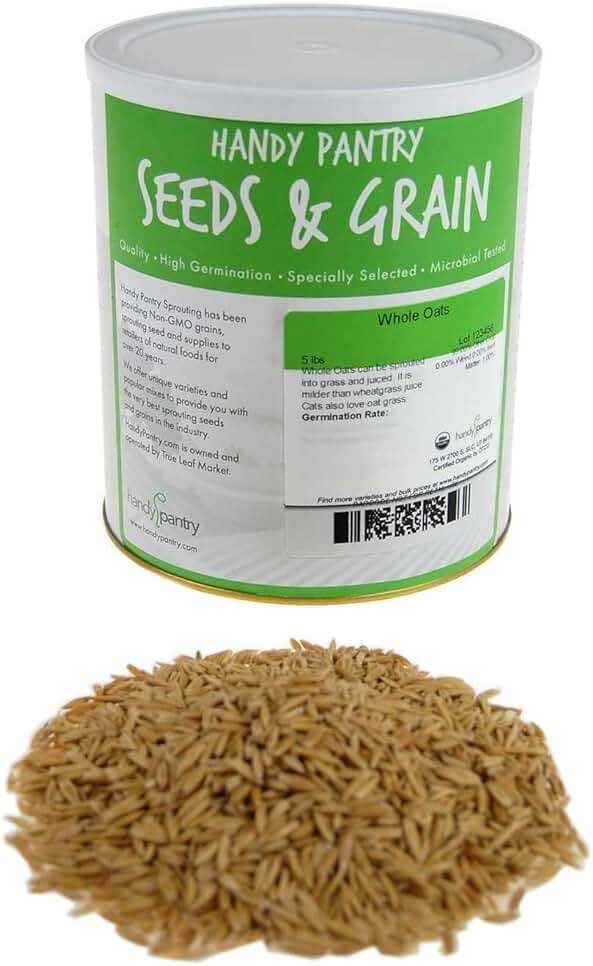 3.5 Lb Non-GMO Organic Whole Oat Groats (w/Husk) - Gluten Free Organic Oats - Whole Oats Organic for Sprouting, Steel Cut Oats Organic, Oat Berries, Oat Flour Organic, Oat Rice, and Livestock Feed - Product Image