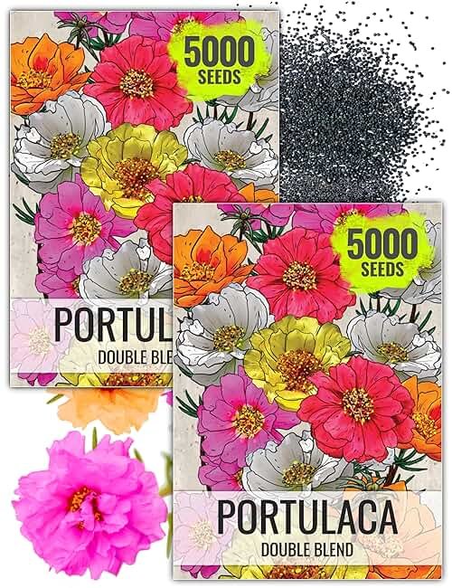 Seed Needs Moss Rose Seeds for Planting Portulaca Groundcover - Heirloom & Open Pollinated Flowers to Plant a Butterfly Garden - Double Petal Blooms in Red, Yellow, White, Orange & Pink (2 Packs) - Product Image