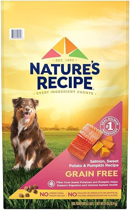 Nature's Recipe Grain Free Salmon, Sweet Potato & Pumpkin Recipe Dry Dog Food, 24 lb. Bag - Product Image